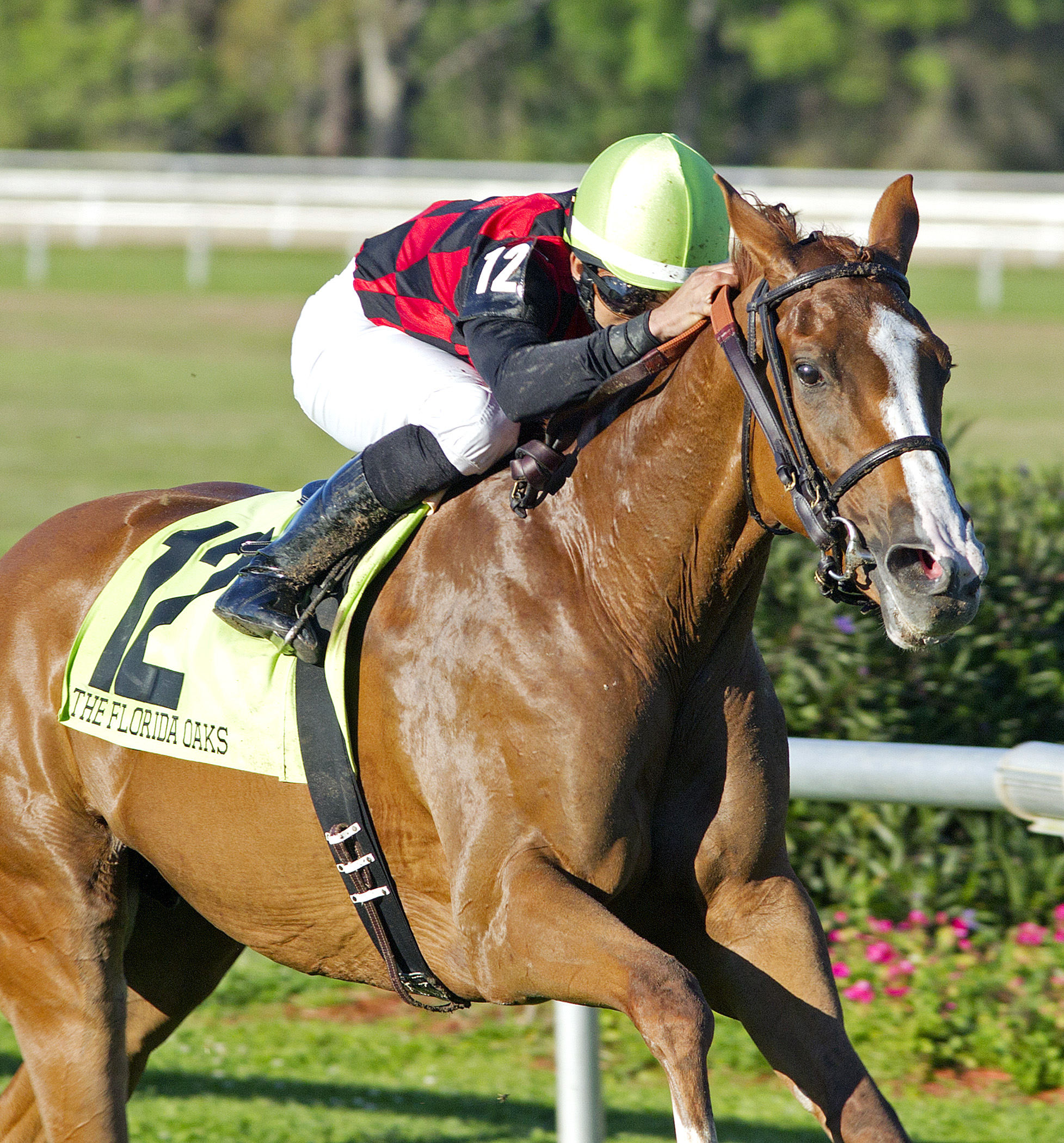 Testa Rossi wins the Florida Oaks