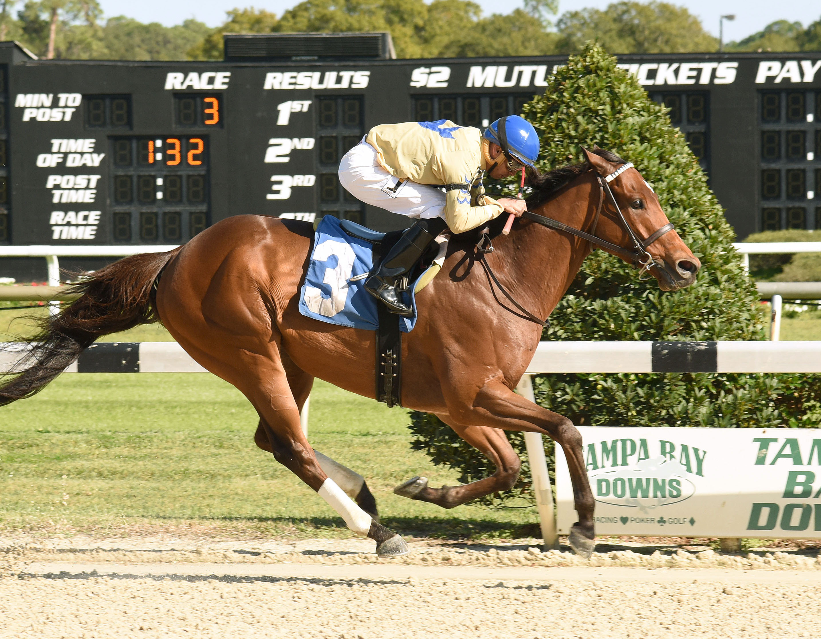 Tether to Reality win a maiden race