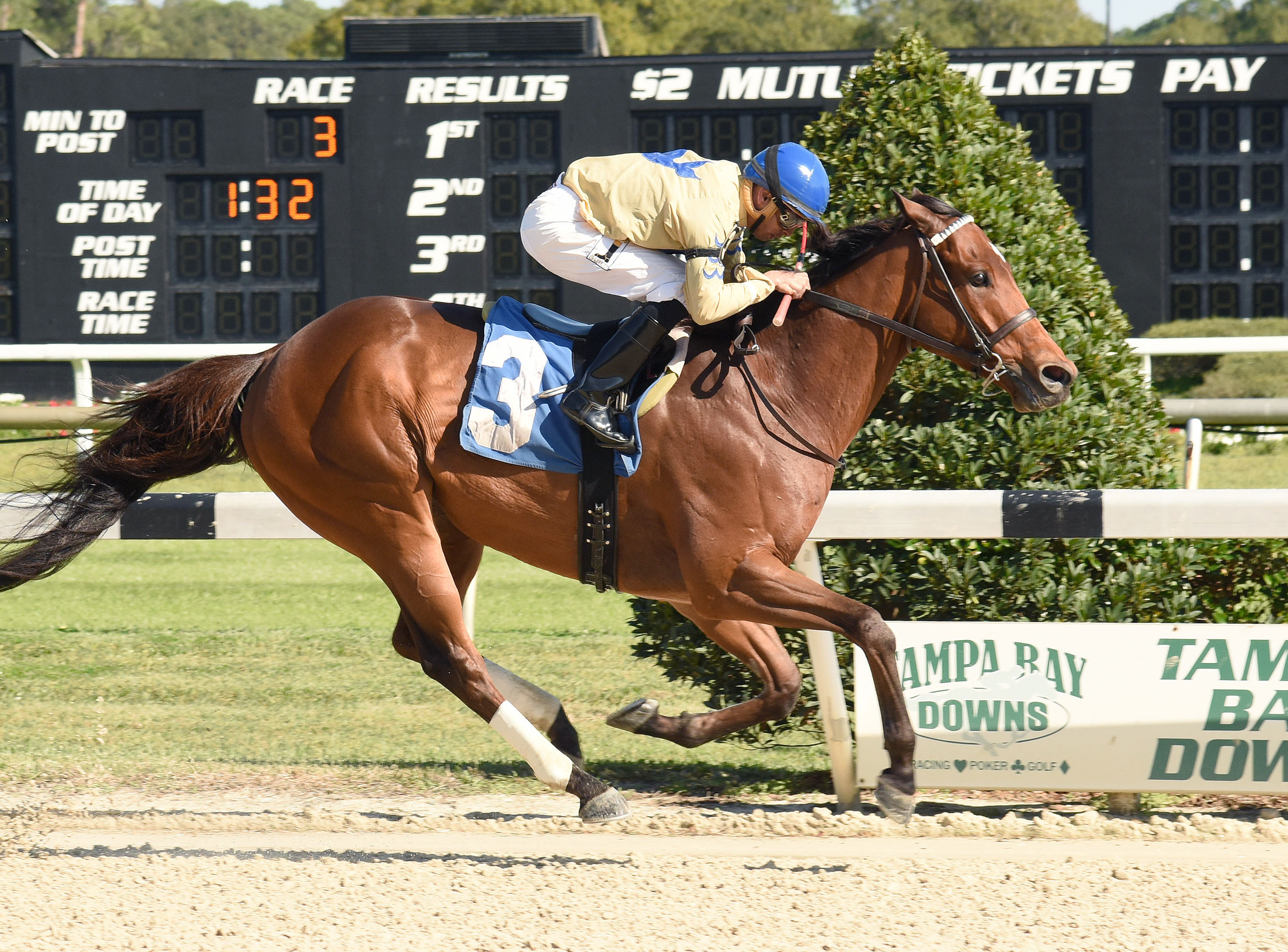 Tether to Reality wins a maiden race