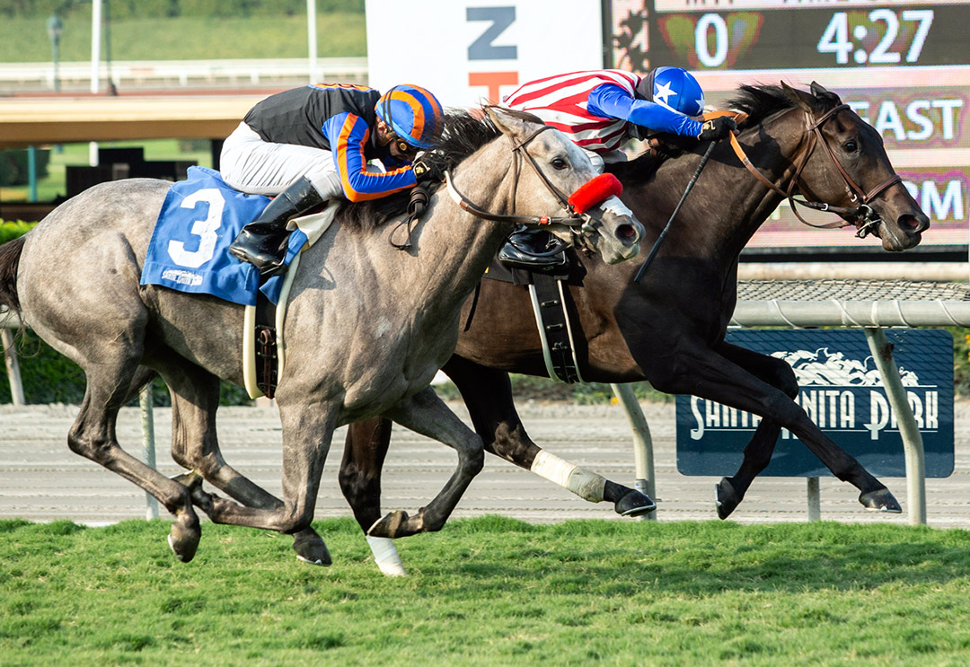 Tetragonal (left) finishes second to Madone in the Surfer Girl Stakes at Santa Anita