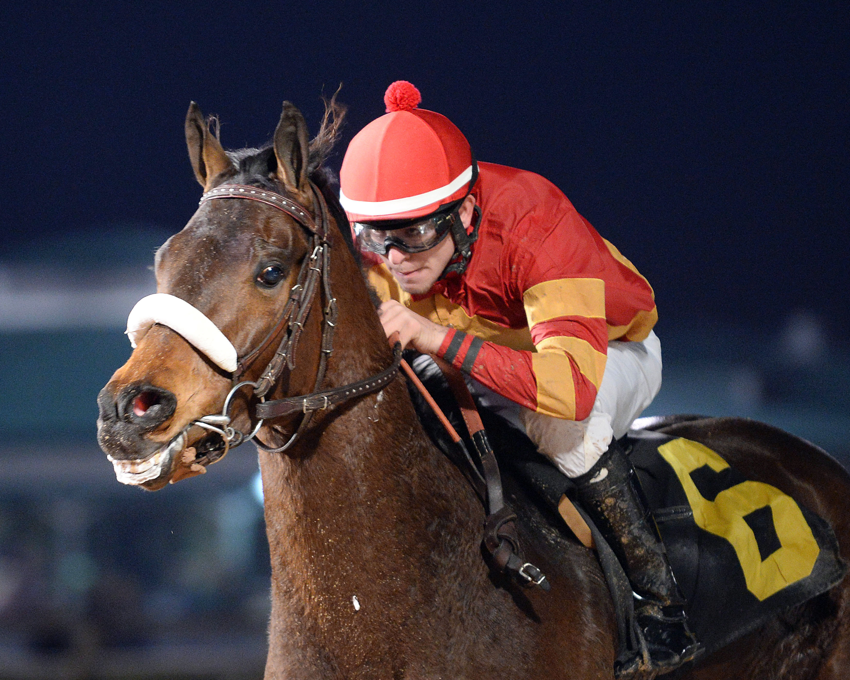 Texas Air wins the Star of Texas Stakes