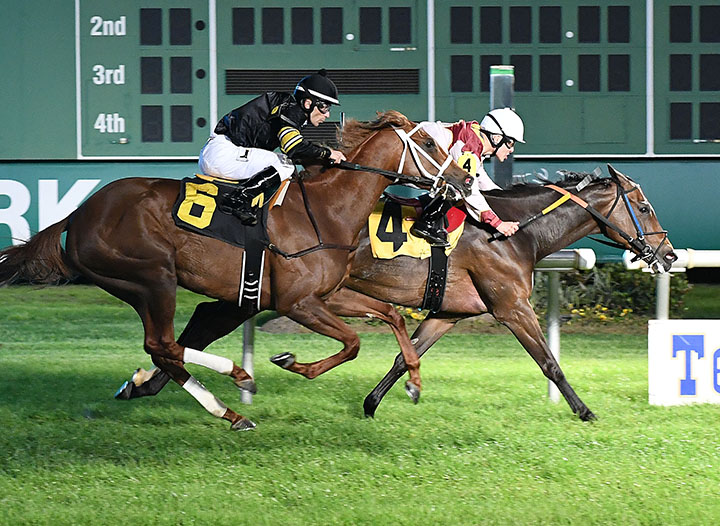 Texas Belle wins the San Jacinto Stakes