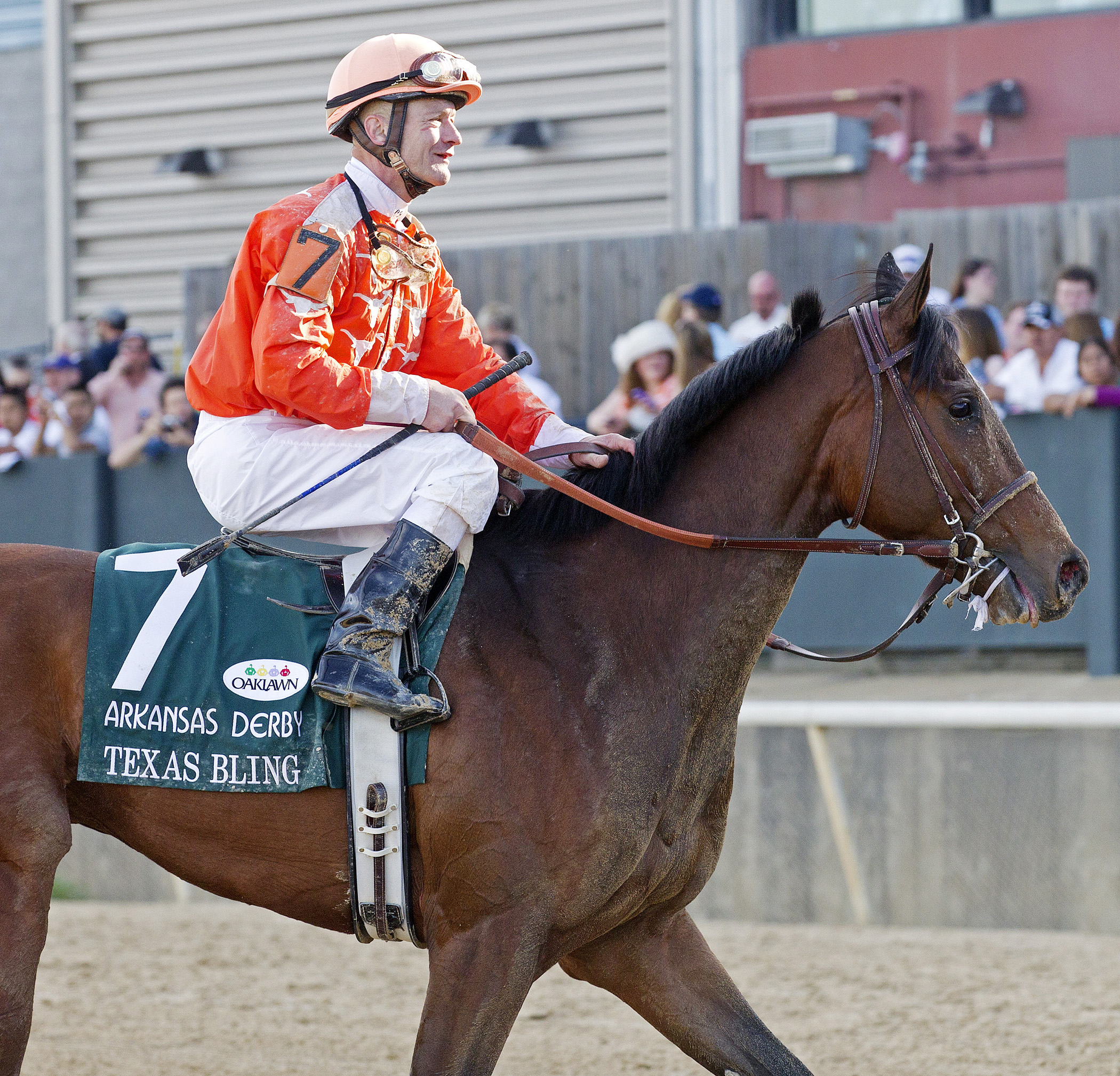 Texas Bling at the 2013 Arkansas Derby