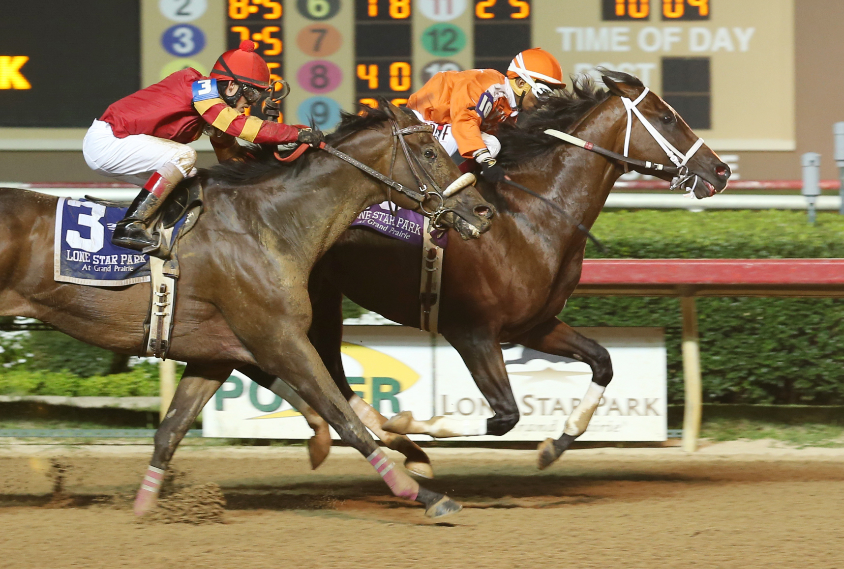 Texas Bling wins the 2015 Assault Stakes