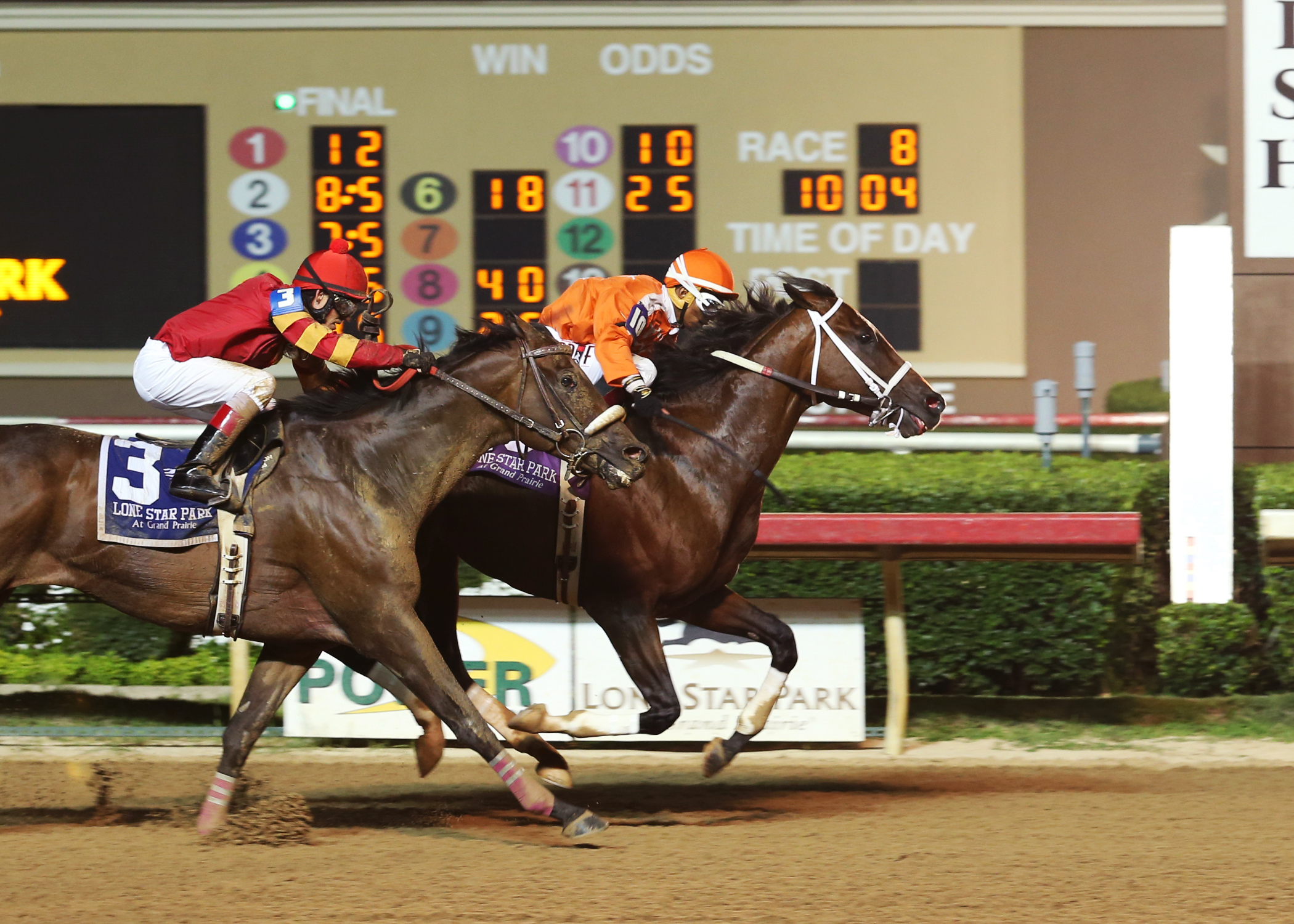 Texas Bling wins the 2015 Assault Stakes