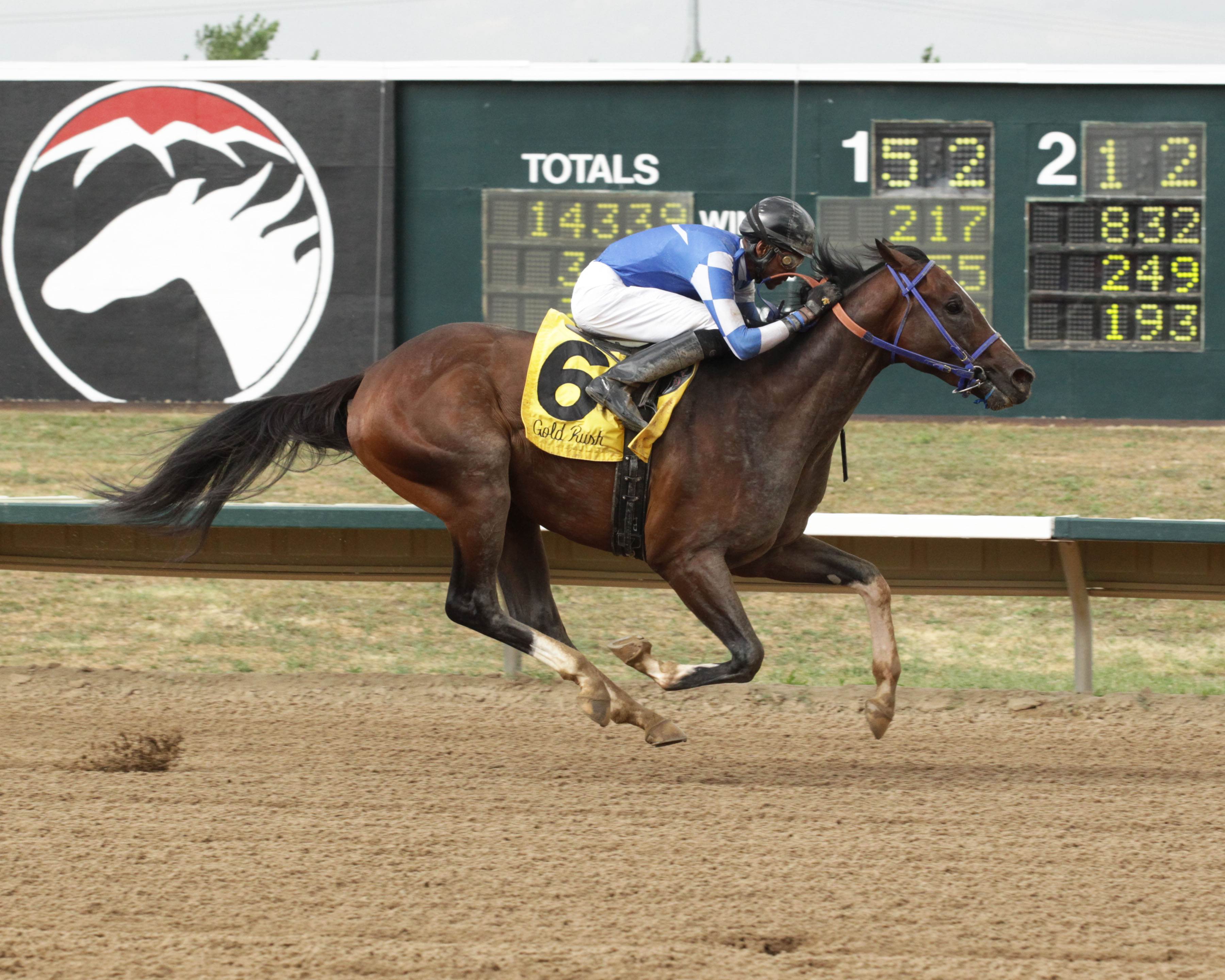 Texas Chrome wins 2015 Gold Rush Futurity