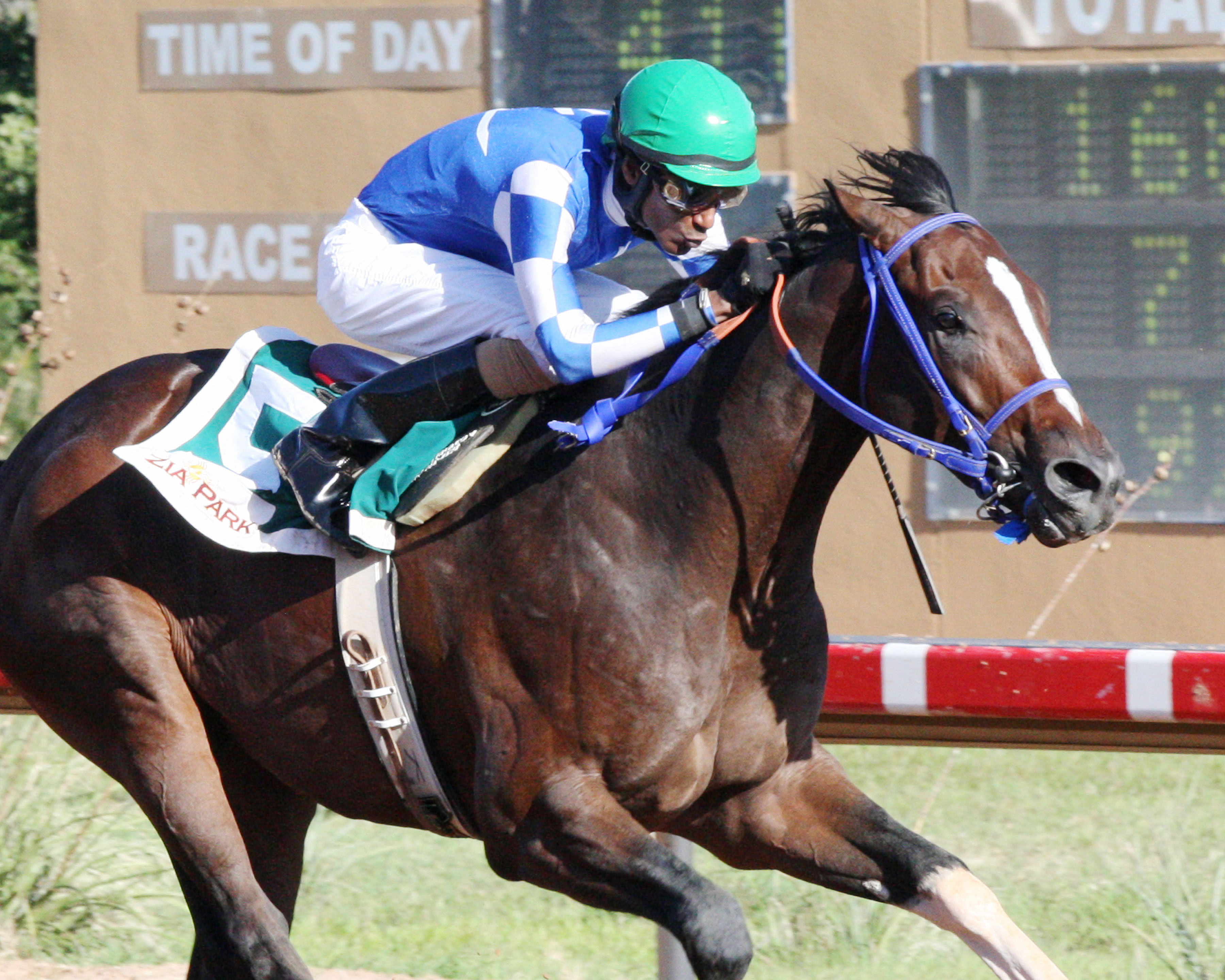Texas Chrome wins the 2015 Governor's Cup