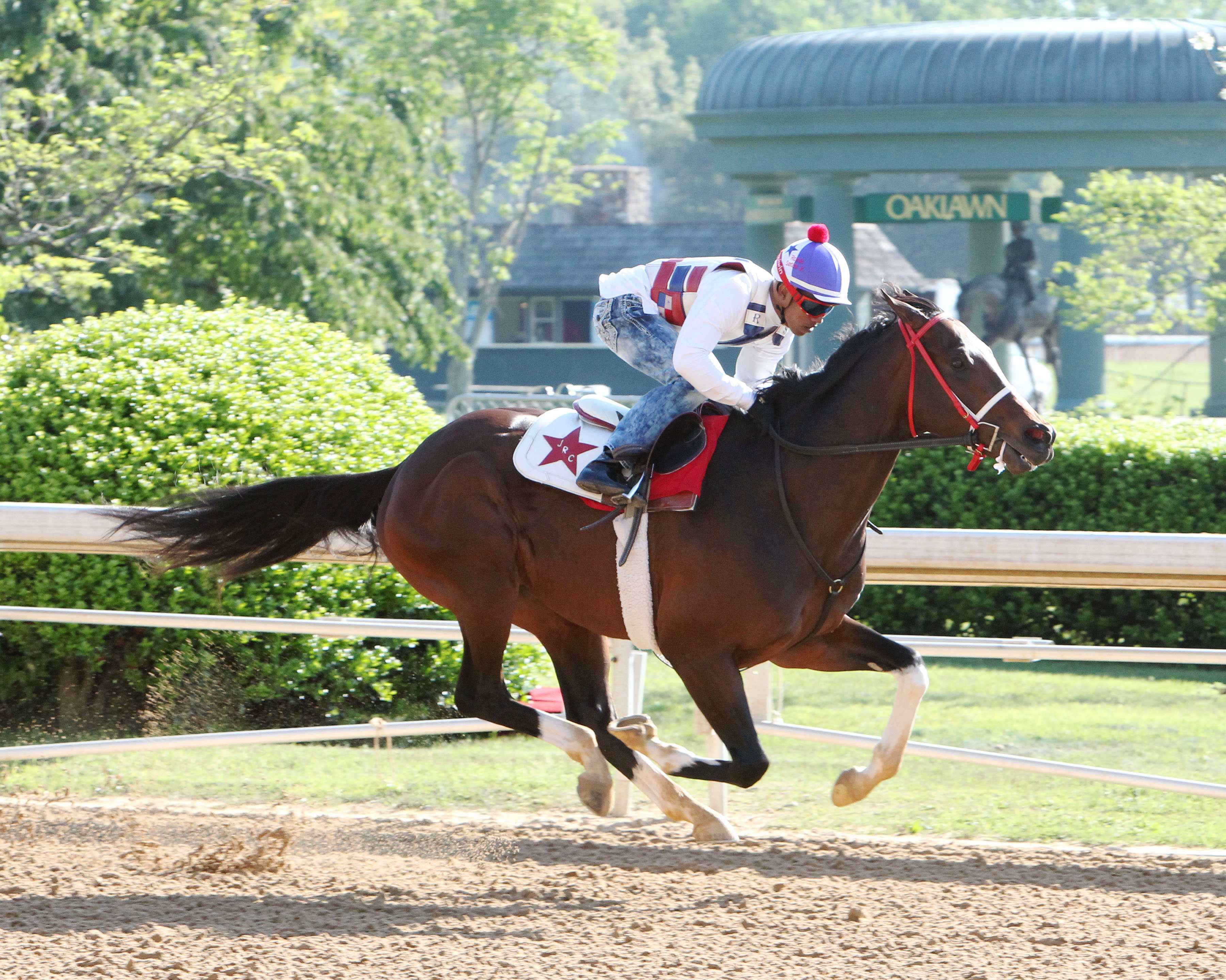 Texas Chrome trains at Oaklawn Park on April 8