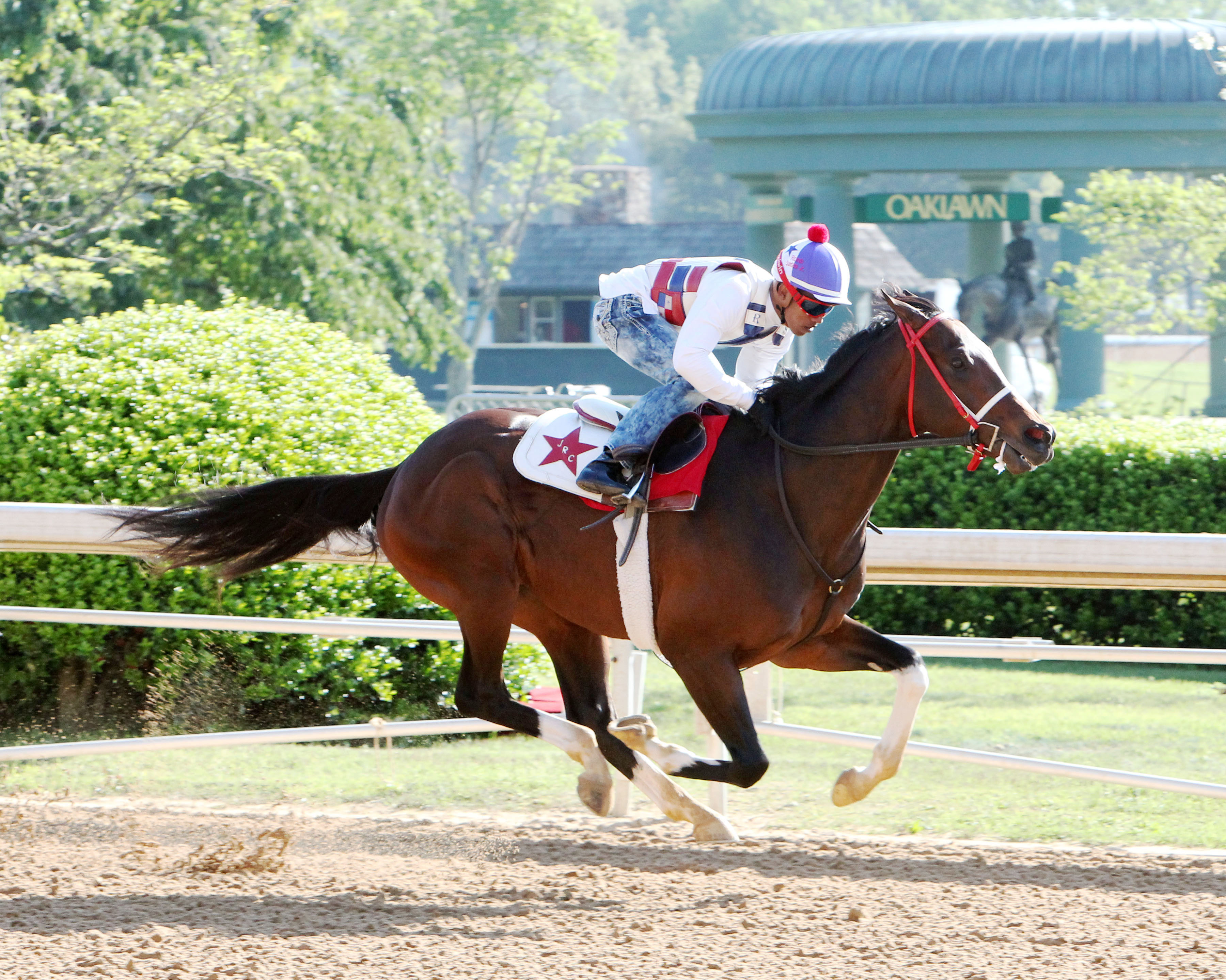 Texas Chrome trains at Oaklawn Park on April 8
