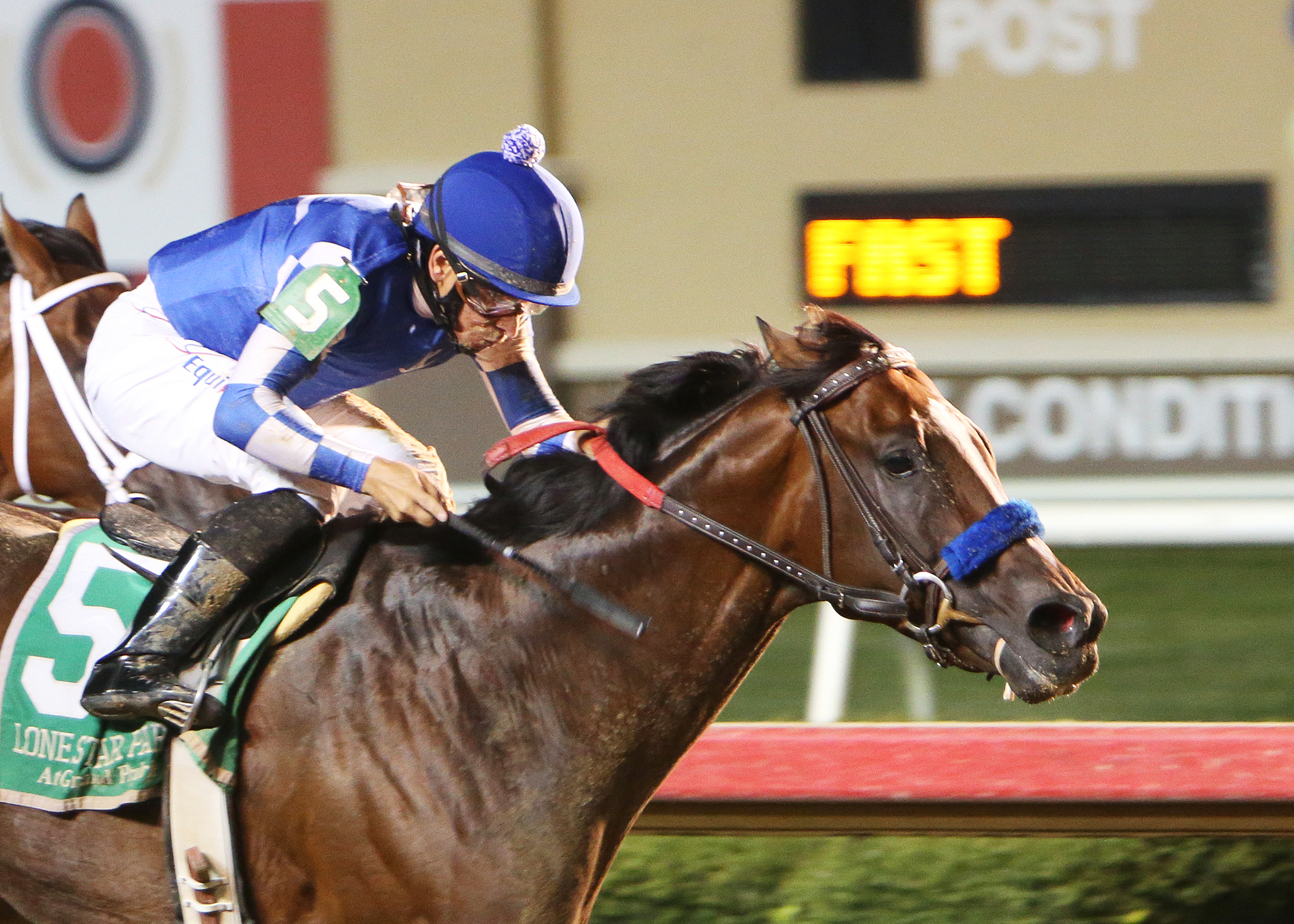Texas Chrome wins the 2017 Assault Stakes