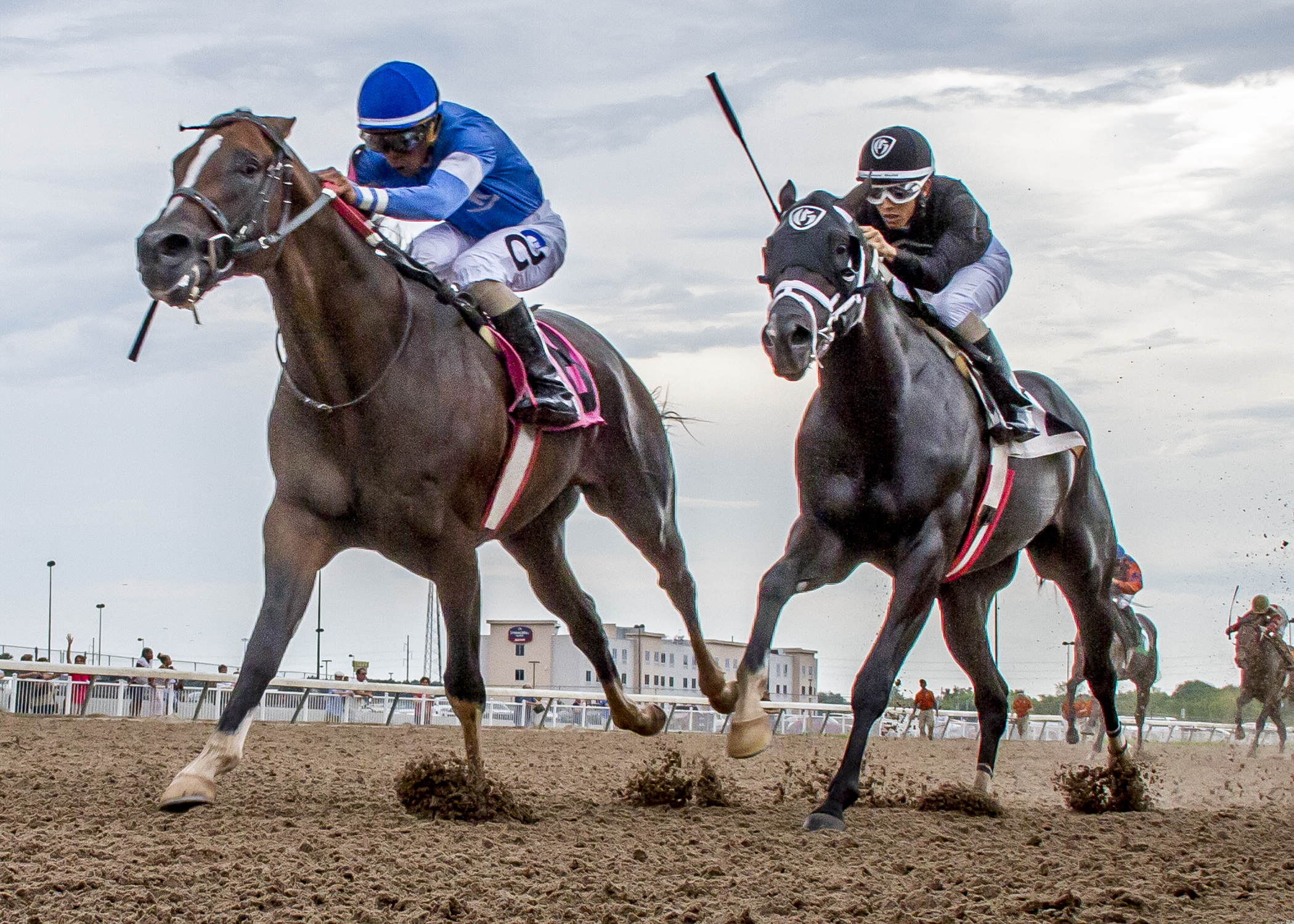 Sharp Azteca finishes second in the Prelude