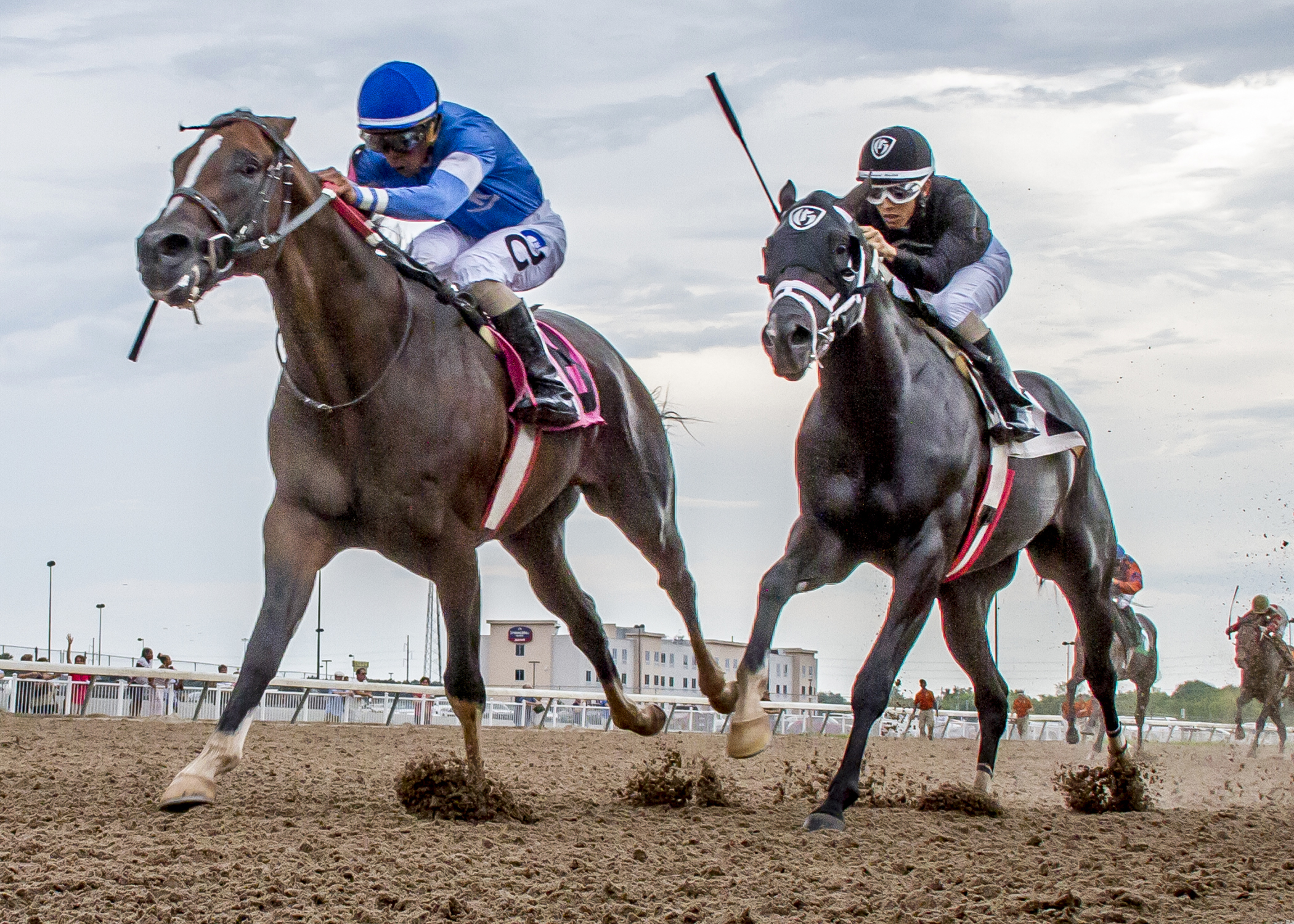 Sharp Azteca finishes second in the Prelude Stakes