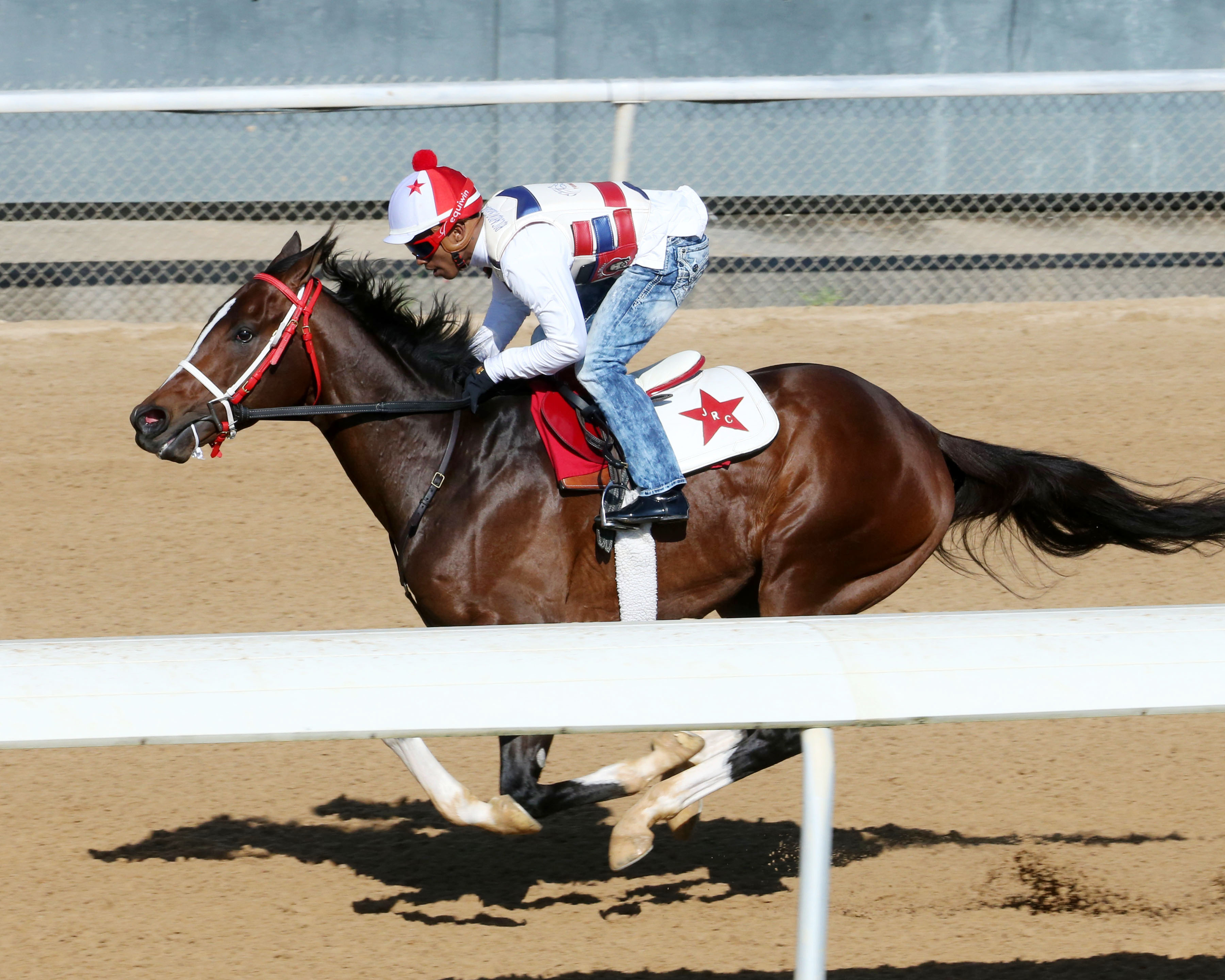Texas Chrome trains at Oaklawn Park on April 8