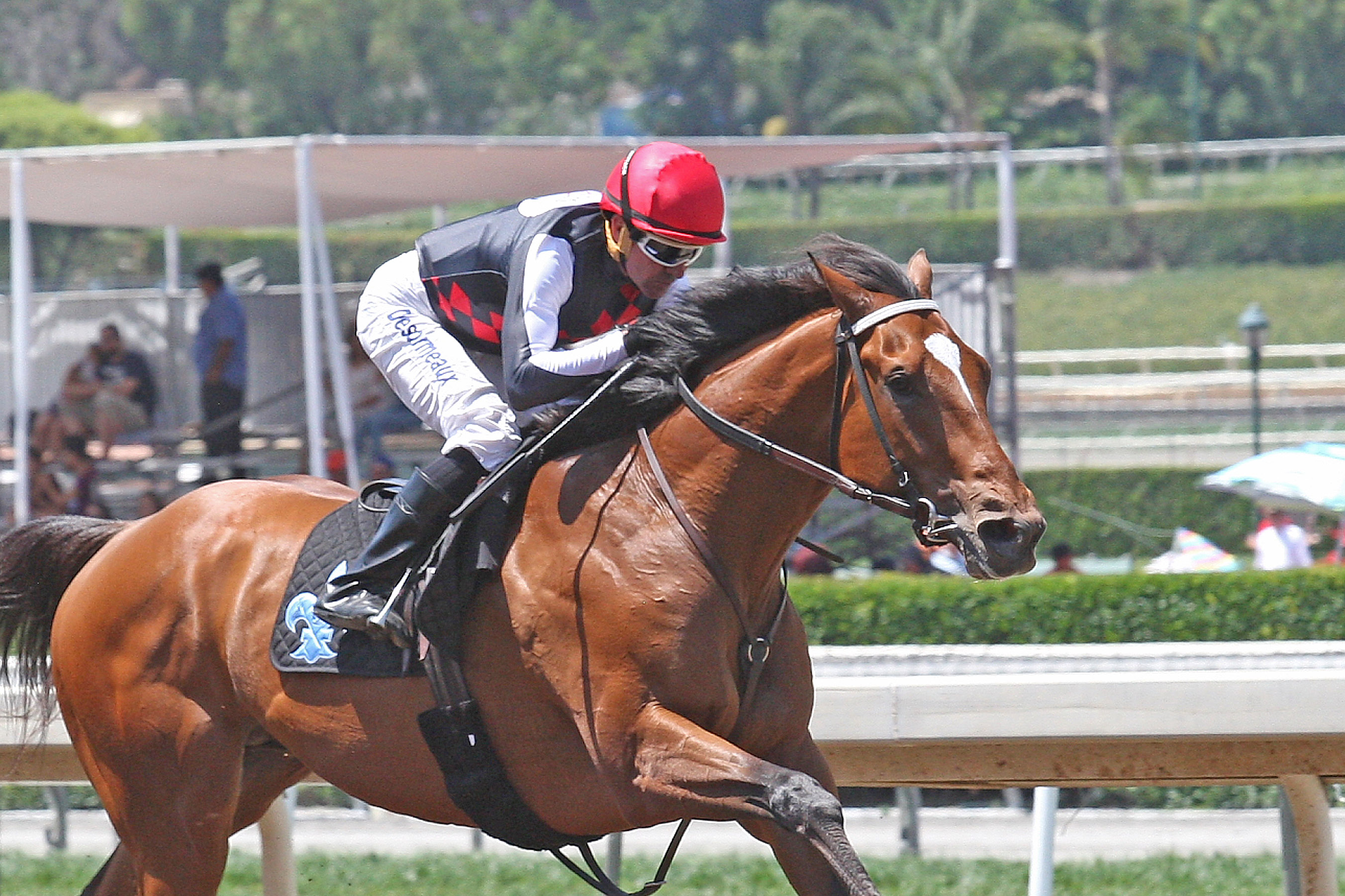 Texas Red 6-21-2015