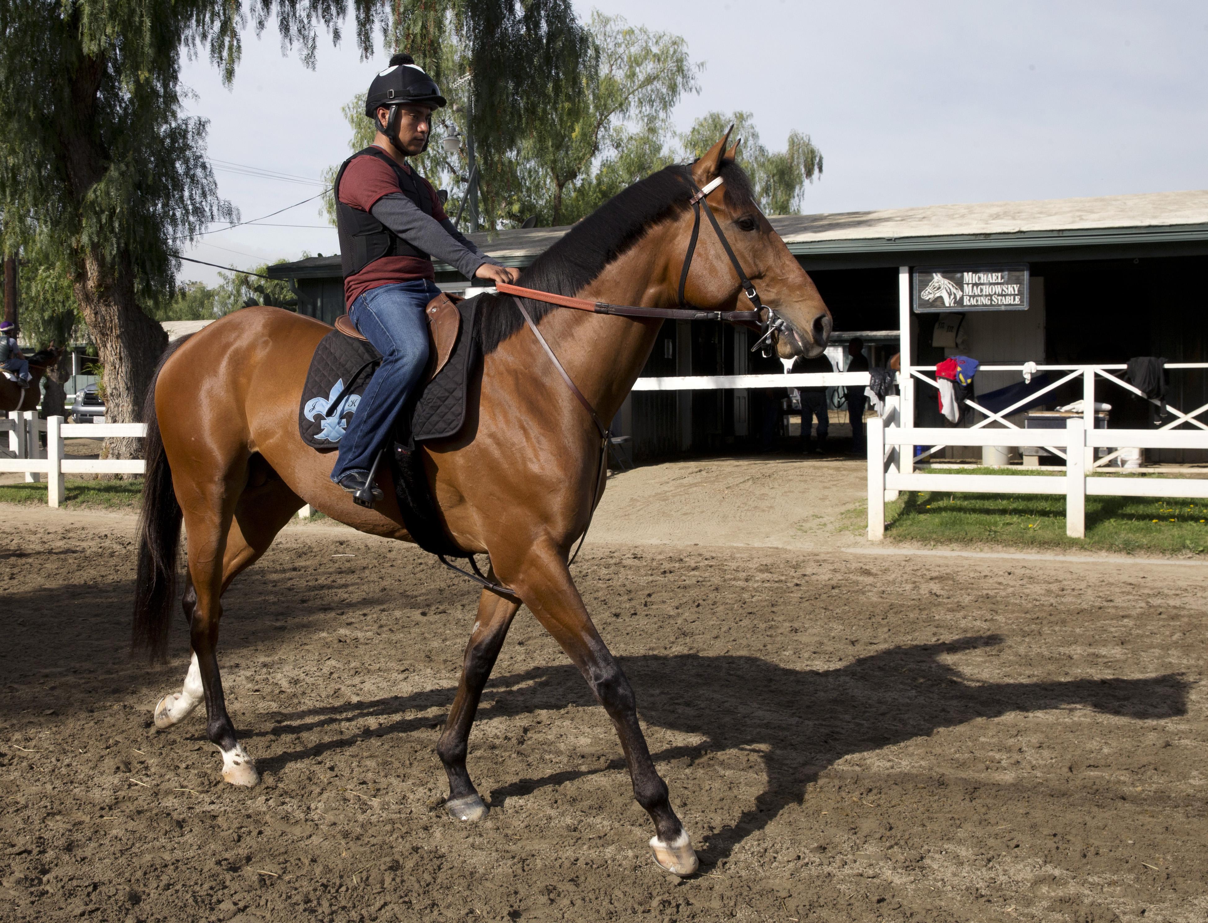 Texas Red at Santa Anita Park on March 11
