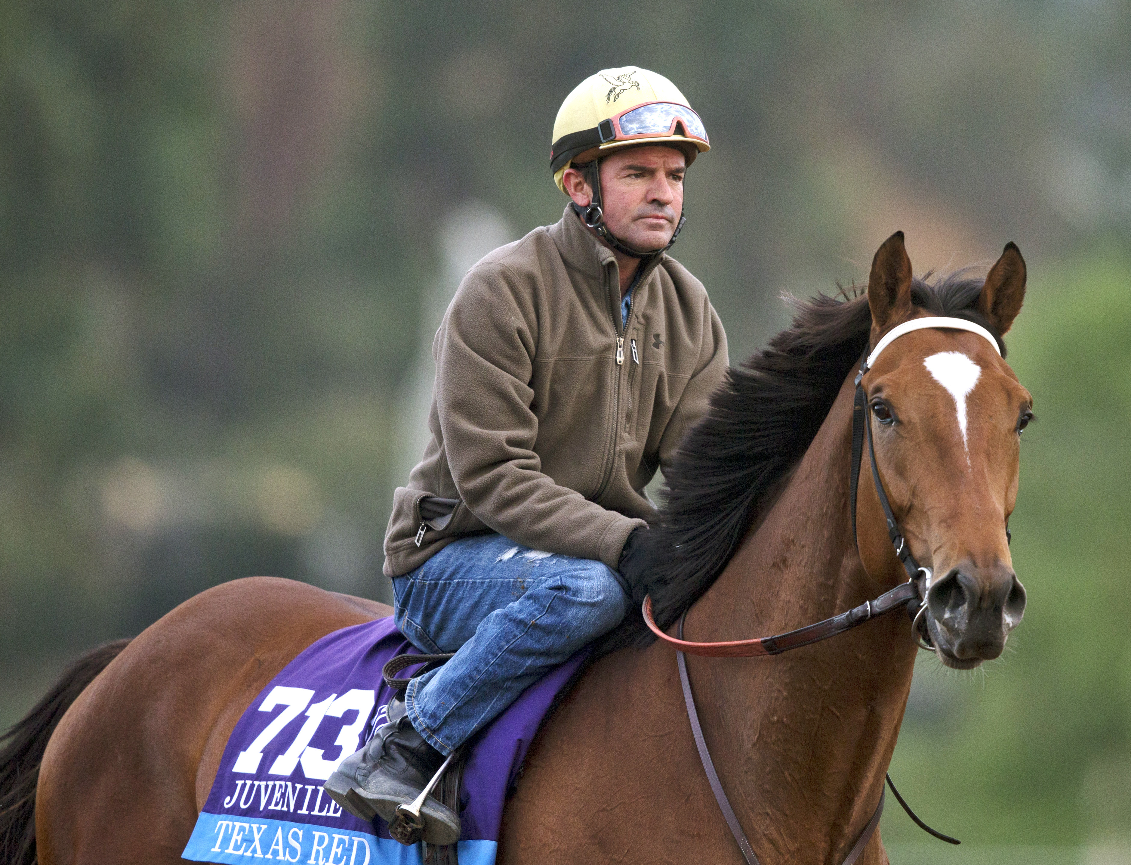 Texas Red with Kent Desormeaux on Oct. 25
