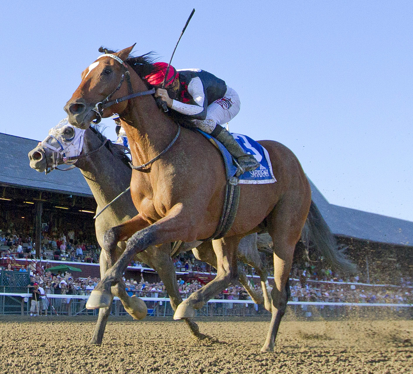 Texas Red wins the Jim Dandy