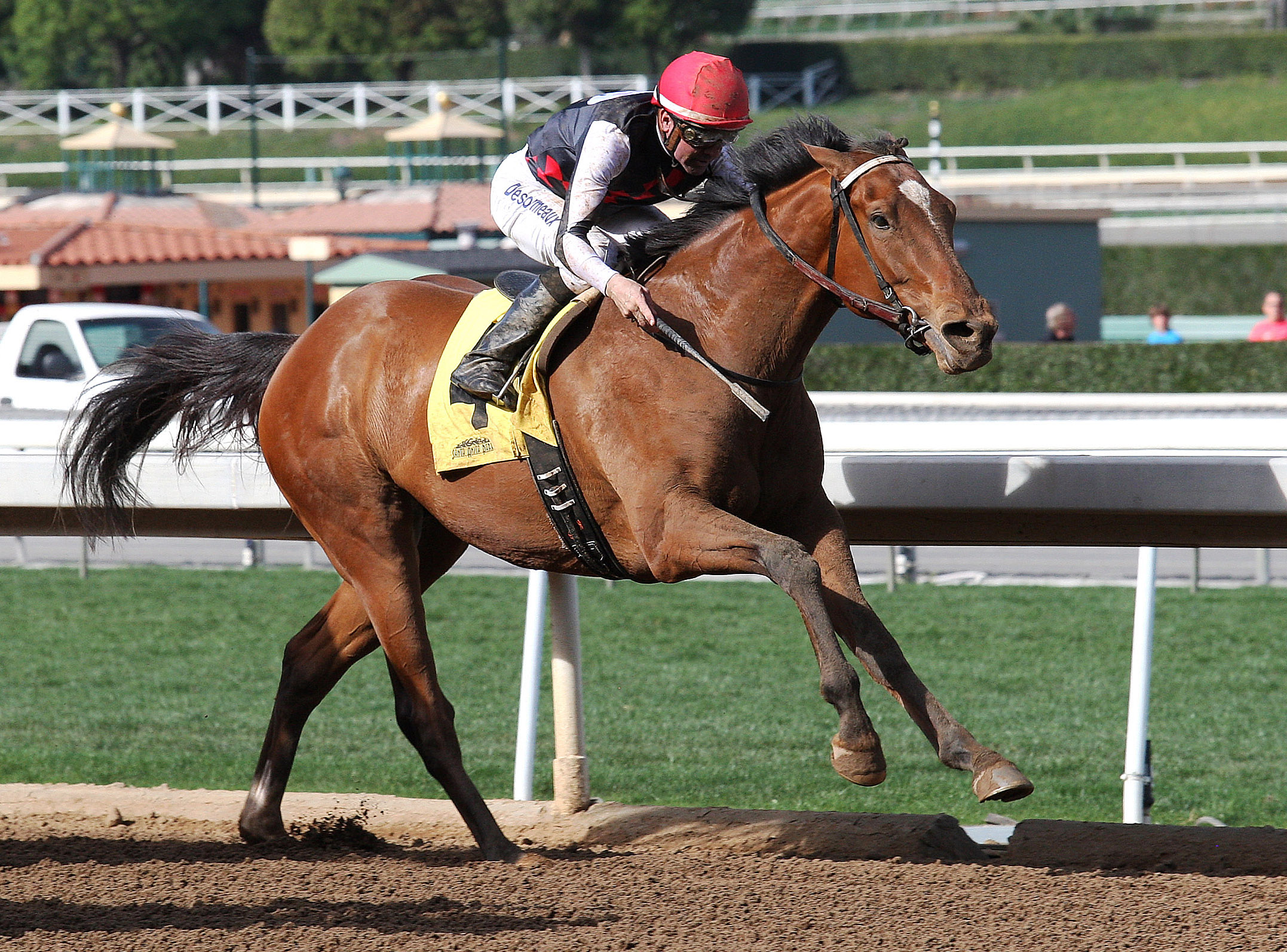 Texas Red finishes second in the San Vincente