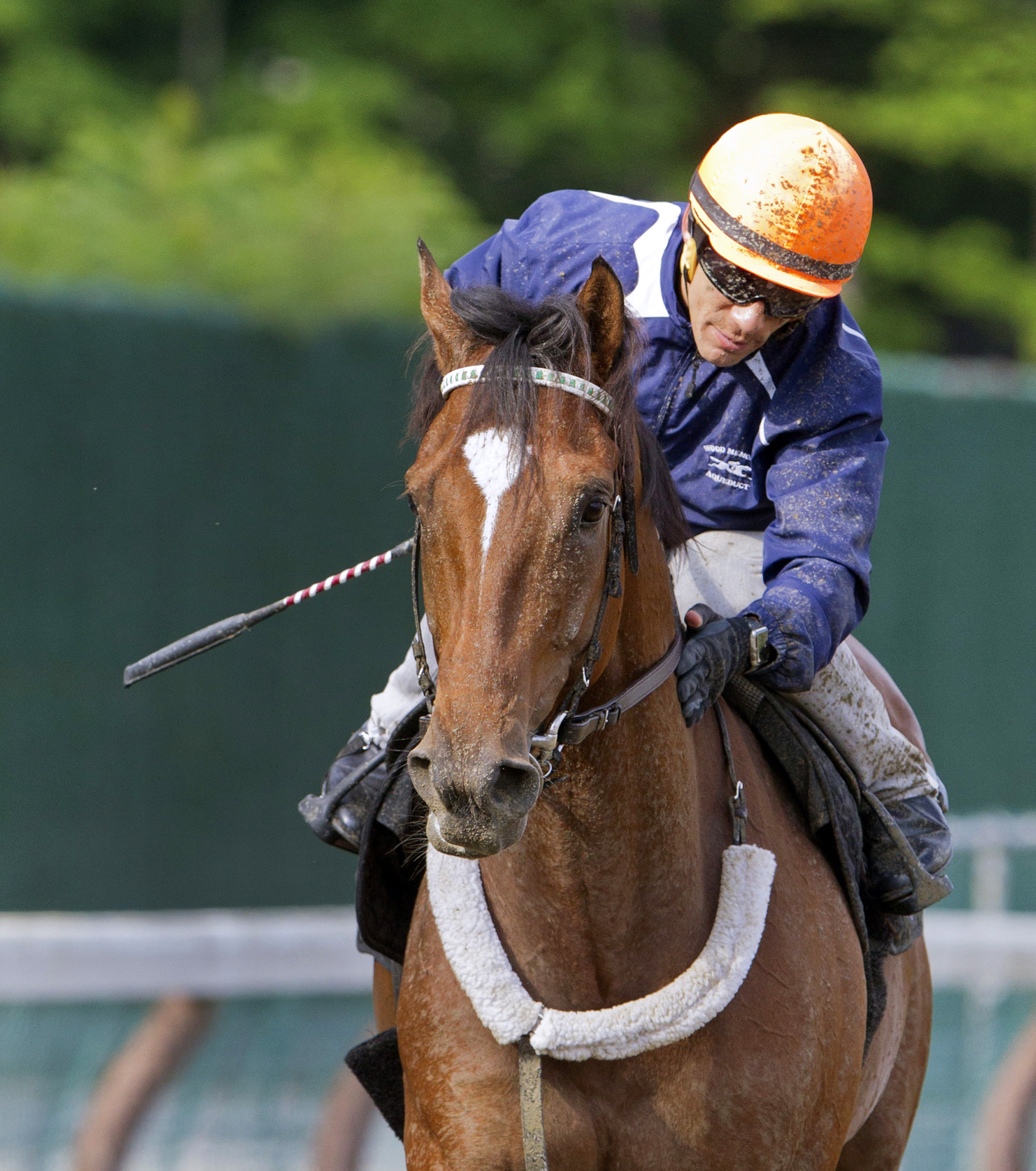 Texas Red
