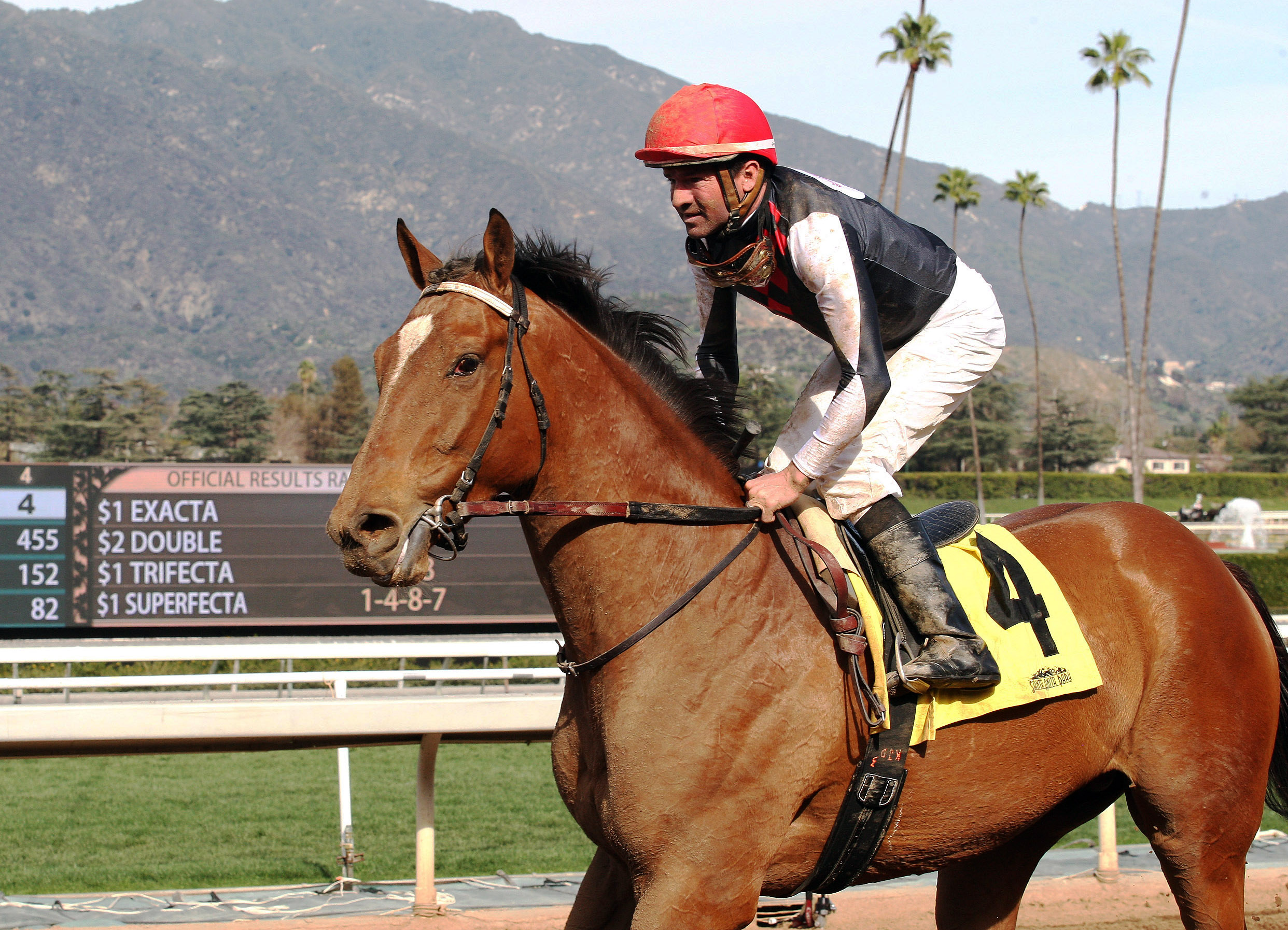 Texas Red finishes second in the San Vincente