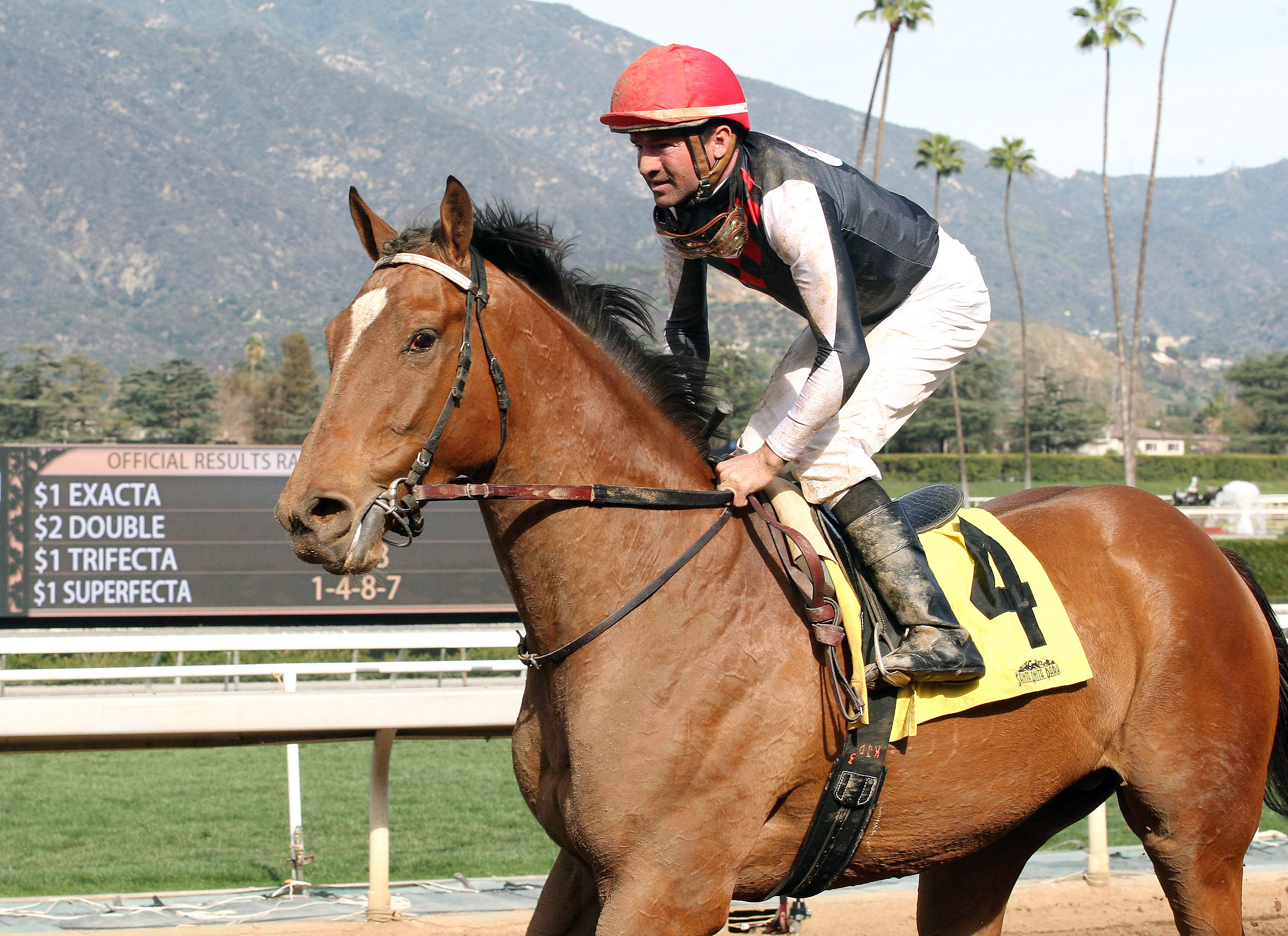 Texas Red finishes second in the San Vincente