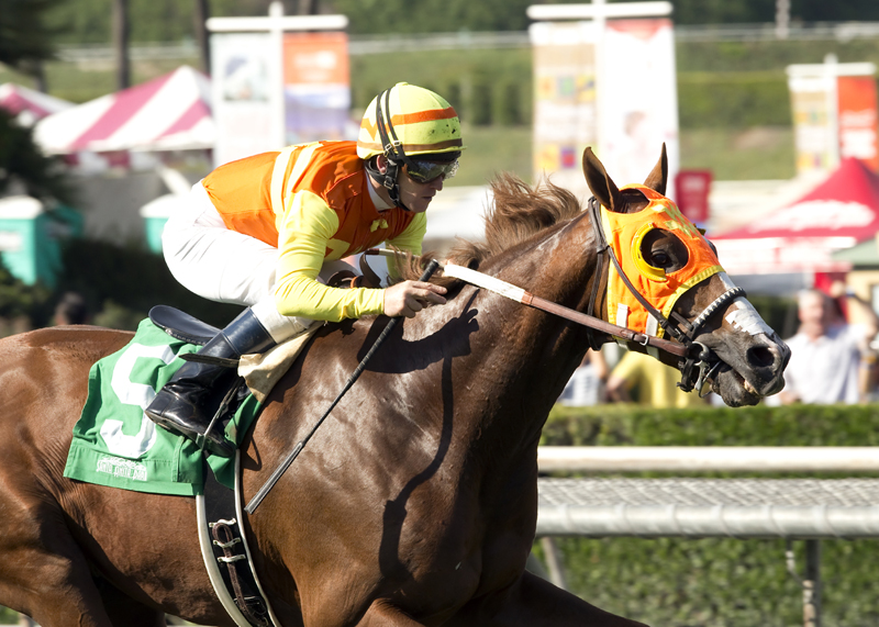 Texas Ryano wins 2015 King Pellinore