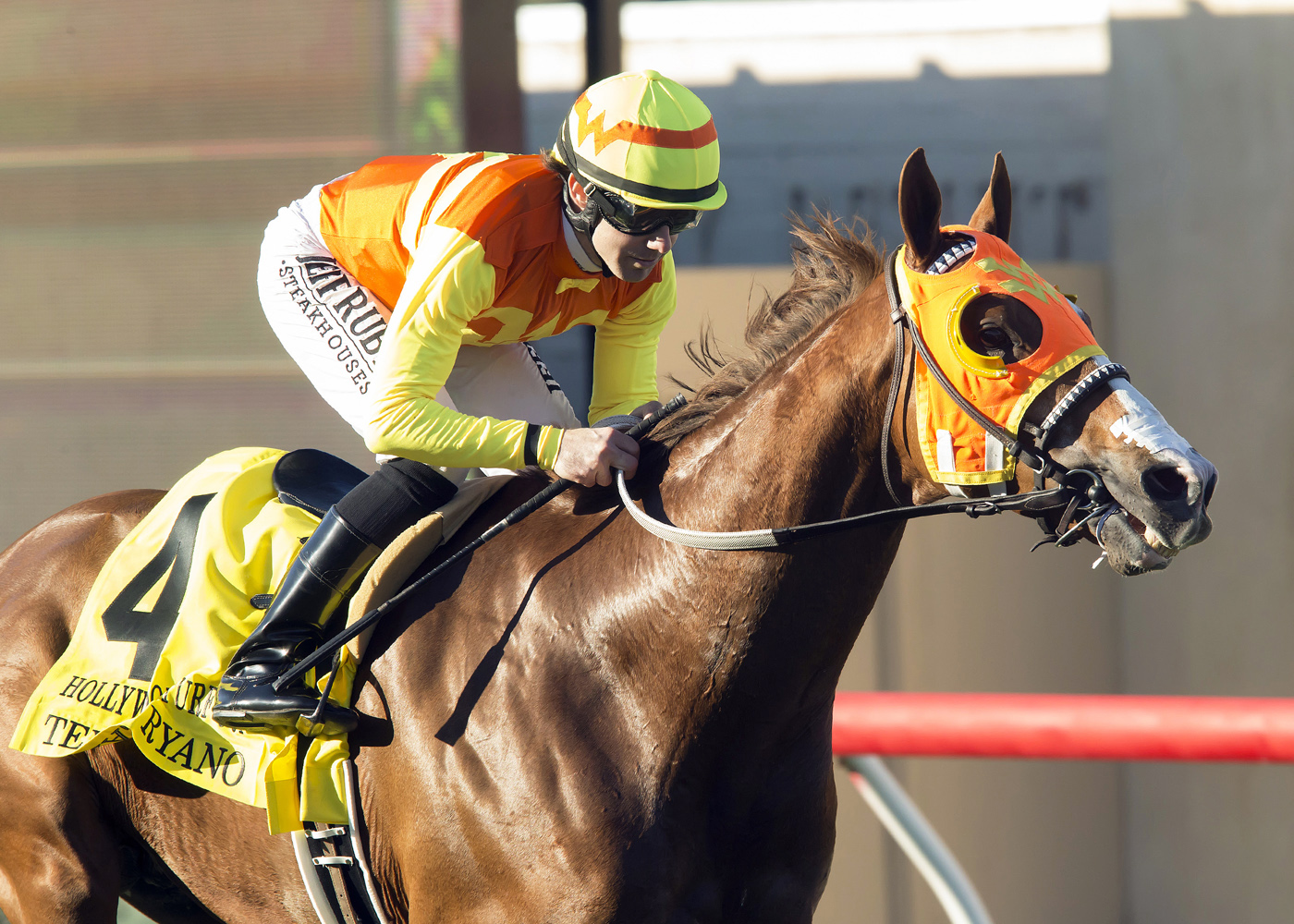 Texas Ryano wins the Hollywood Turf Cup