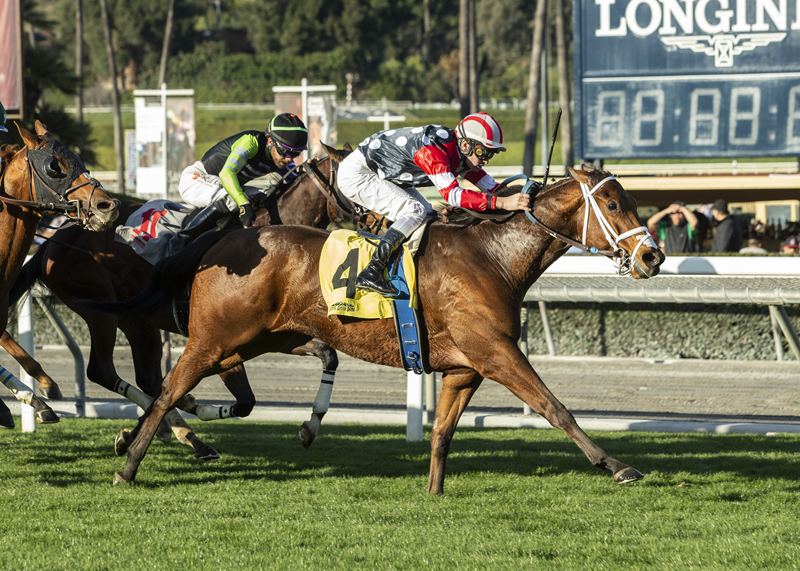 Texas Wedge/Hernandez Stakes
