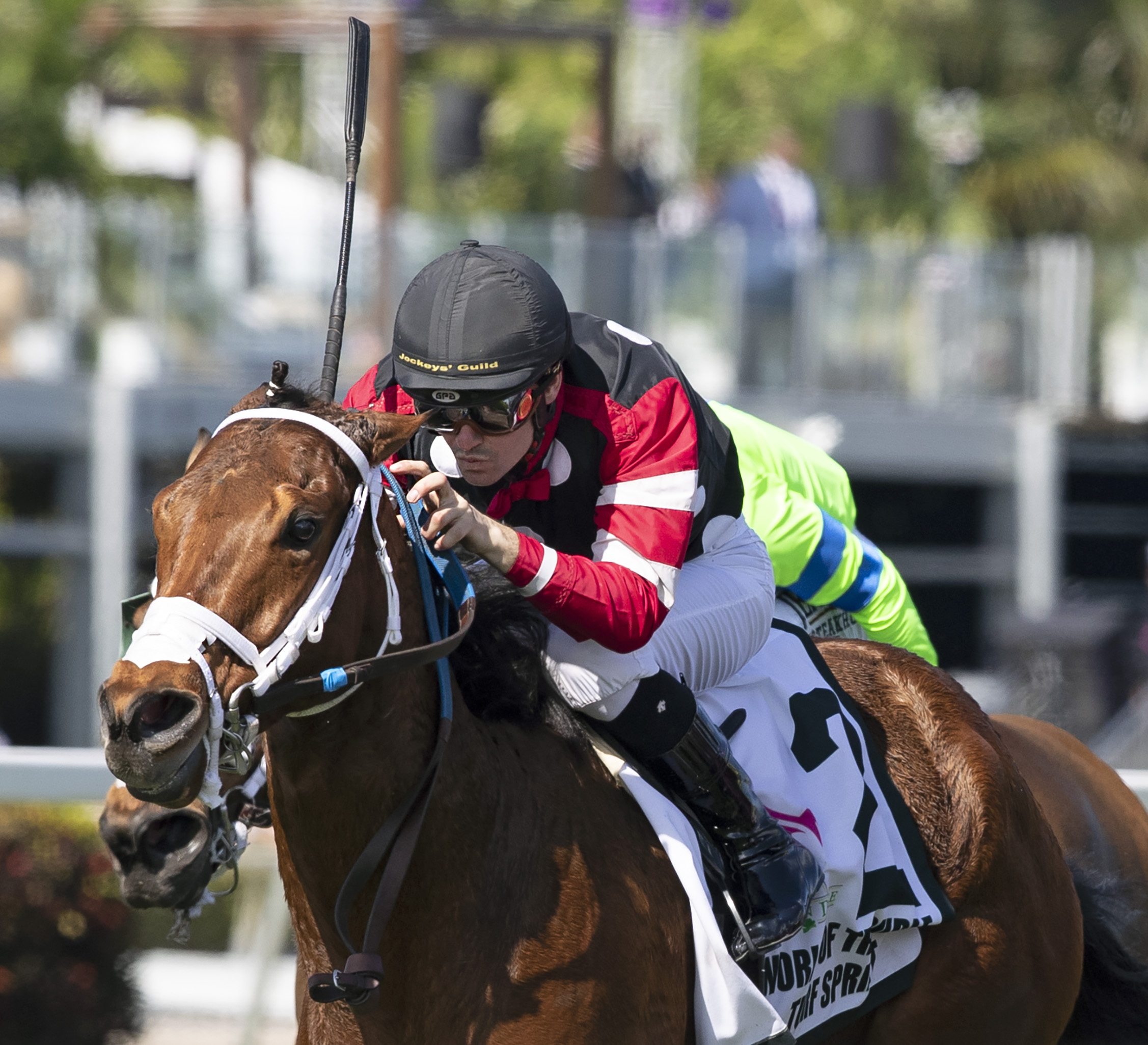 Texas Wedge wins the 2020 World of Trouble Stakes