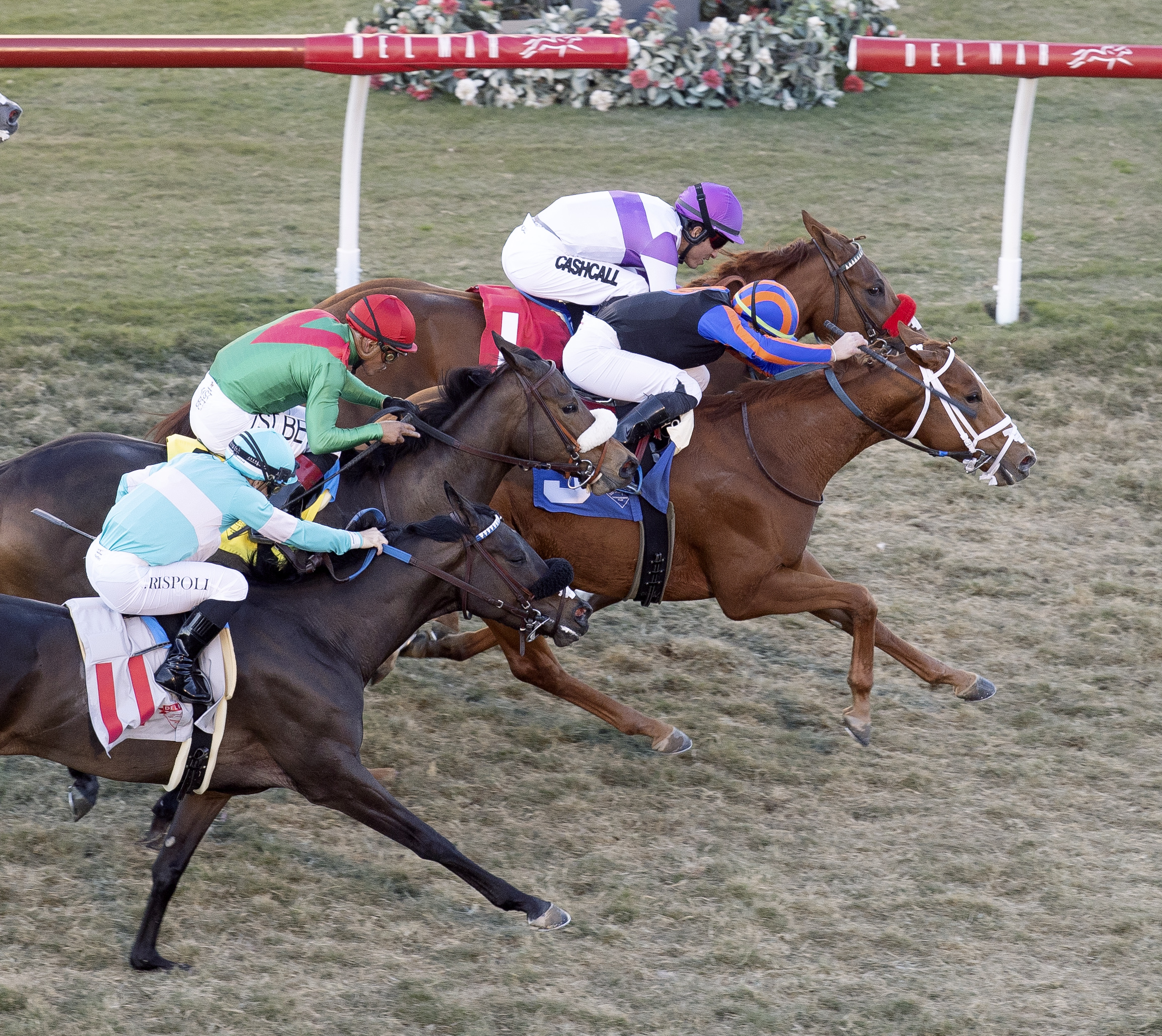 Tezzaray wins Jimmy Durante 11-27-2021
