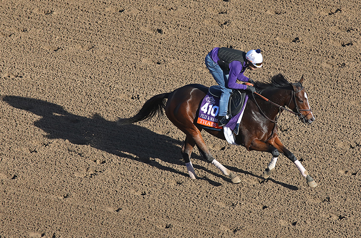 Thais at Santa Anita Park on Oct. 30