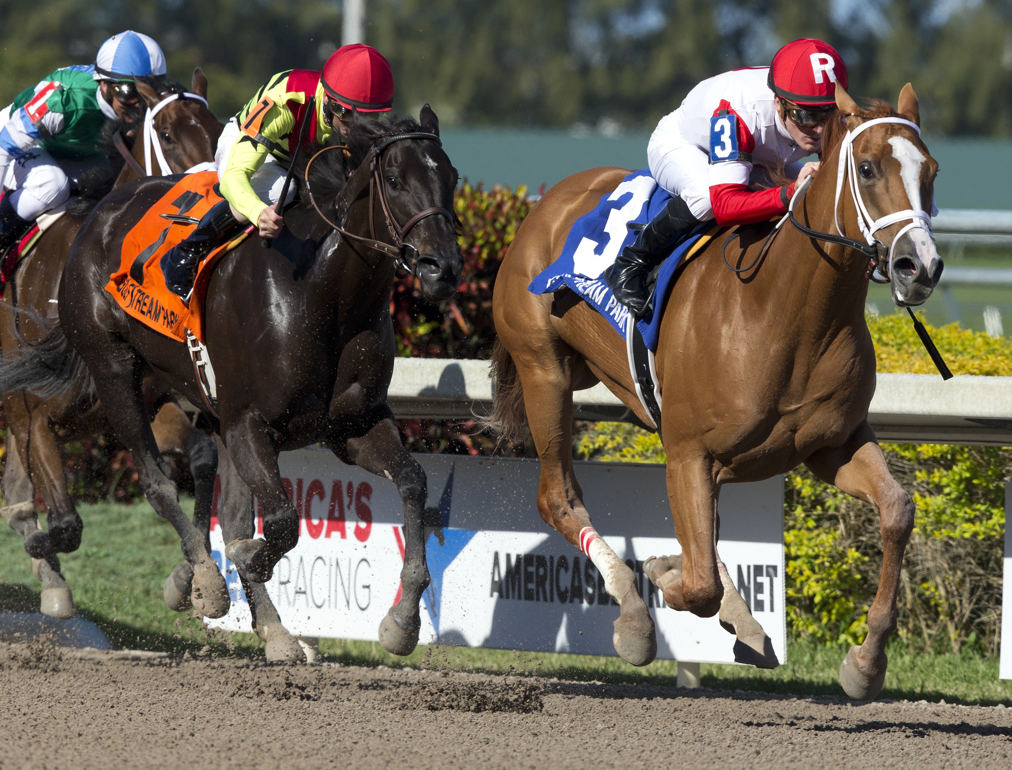 Thank You Marylou wins the Any Limit Stakes