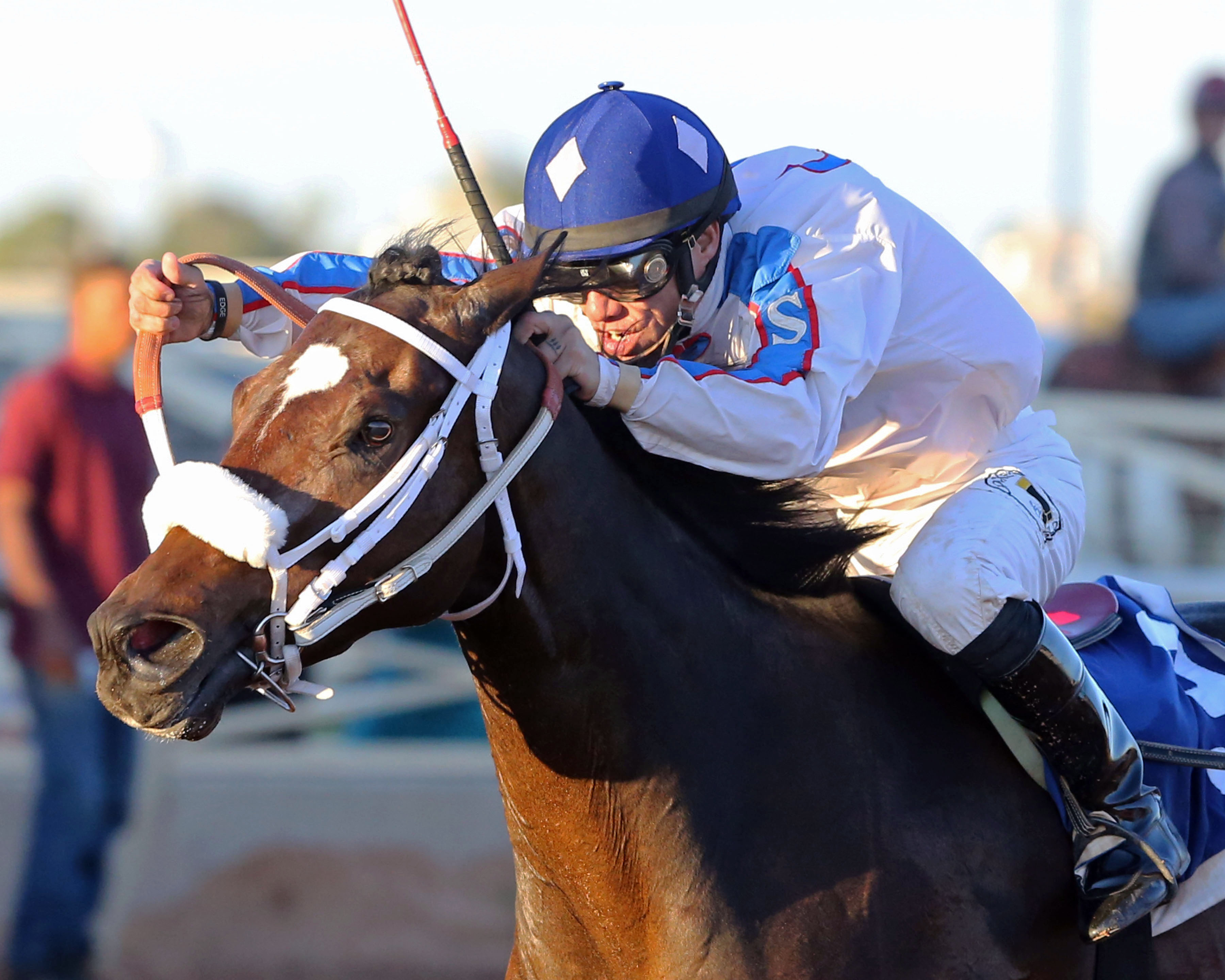 That's Who wins the Rocky Gulch New Mexico Classic Championship