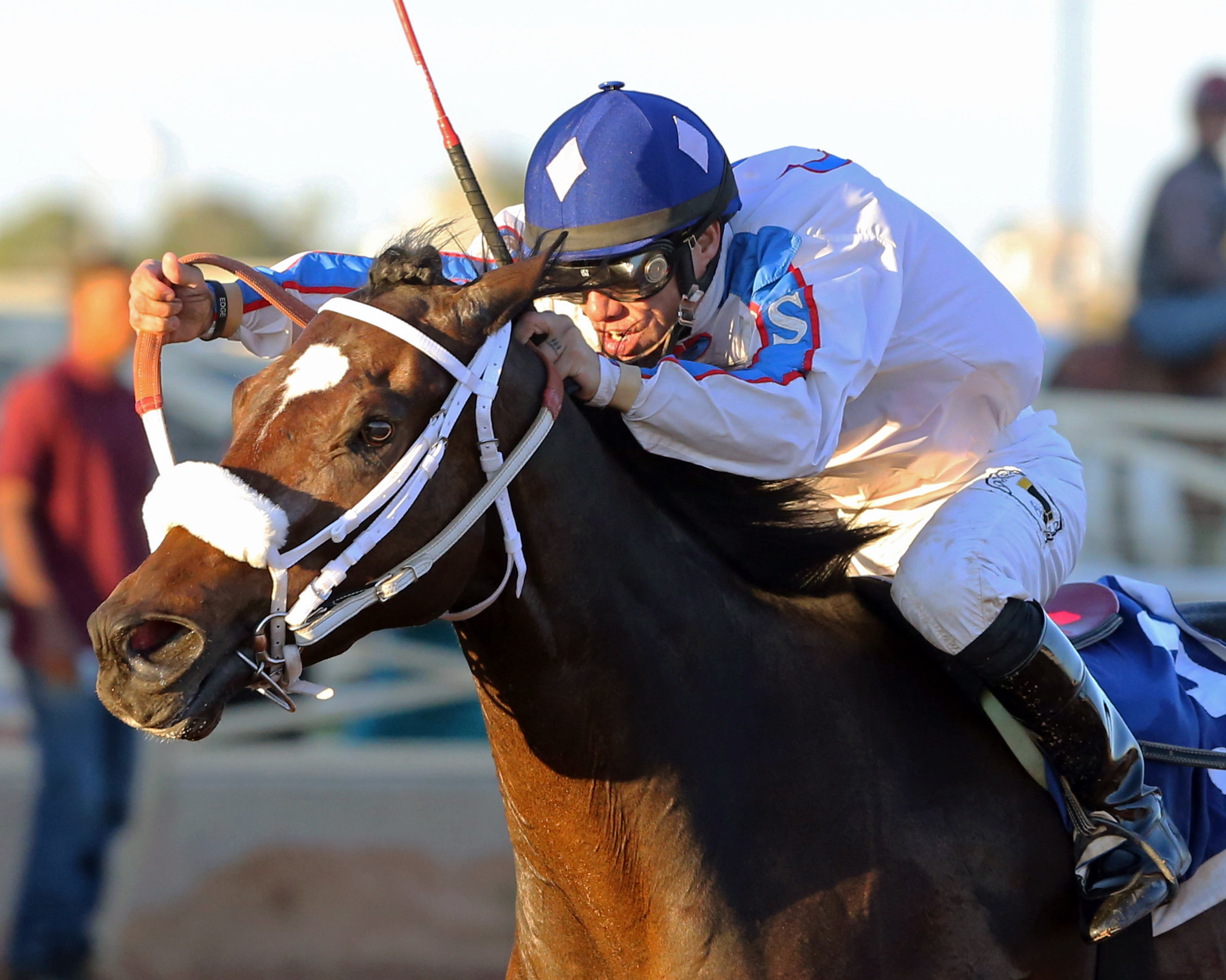That's Who wins the Rocky Gulch New Mexico Classic Championship