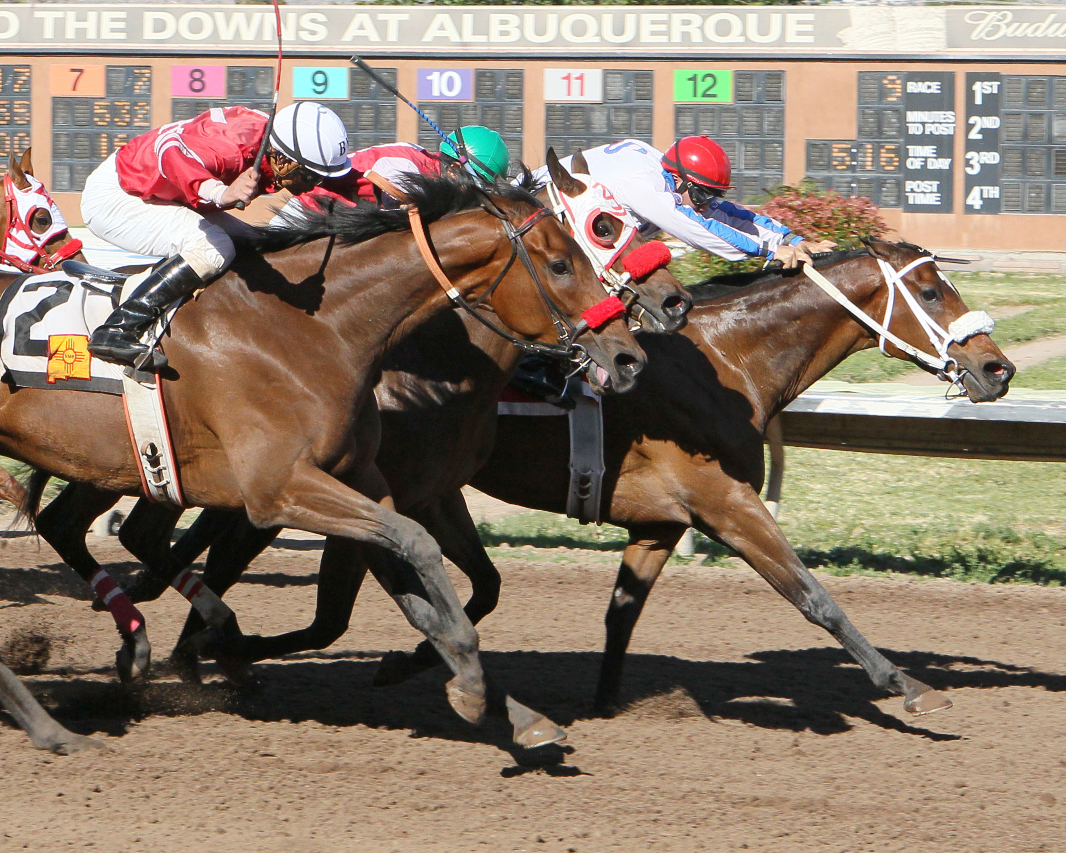 That's Who wins the University of New Mexico Handicap