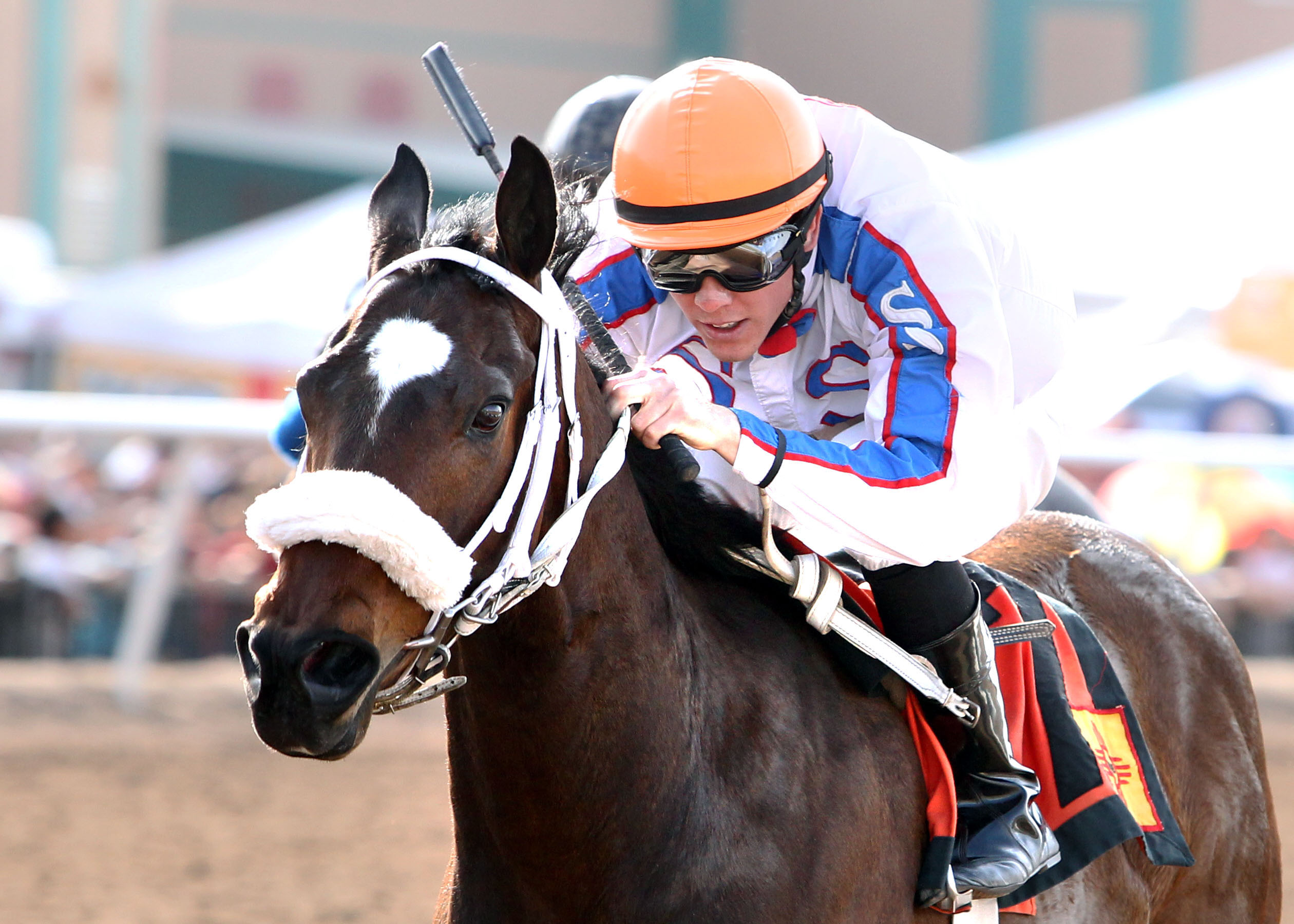 That's Who/New Mexico Breeders' Derby