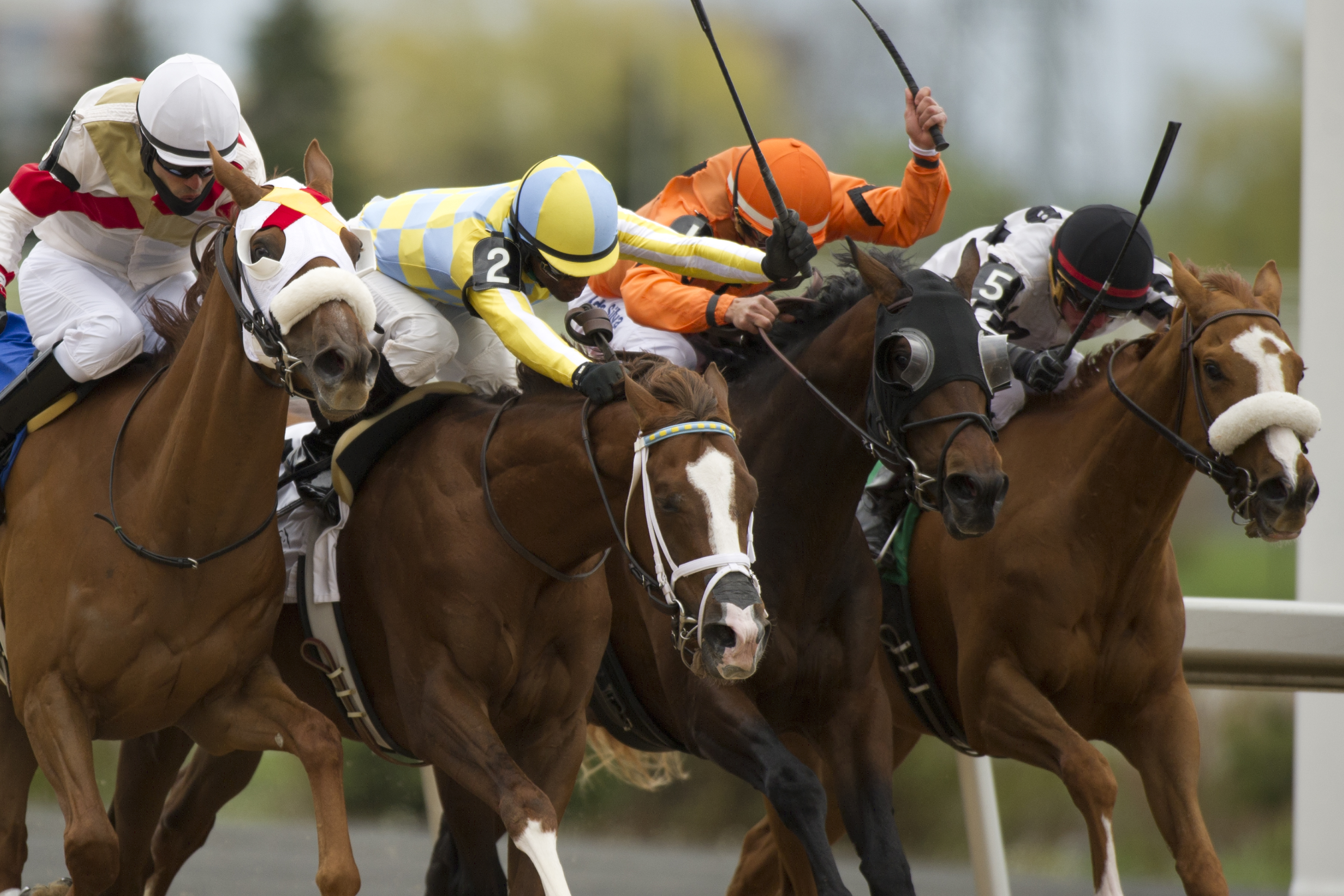 Thatlookonyerface 5-14-2016