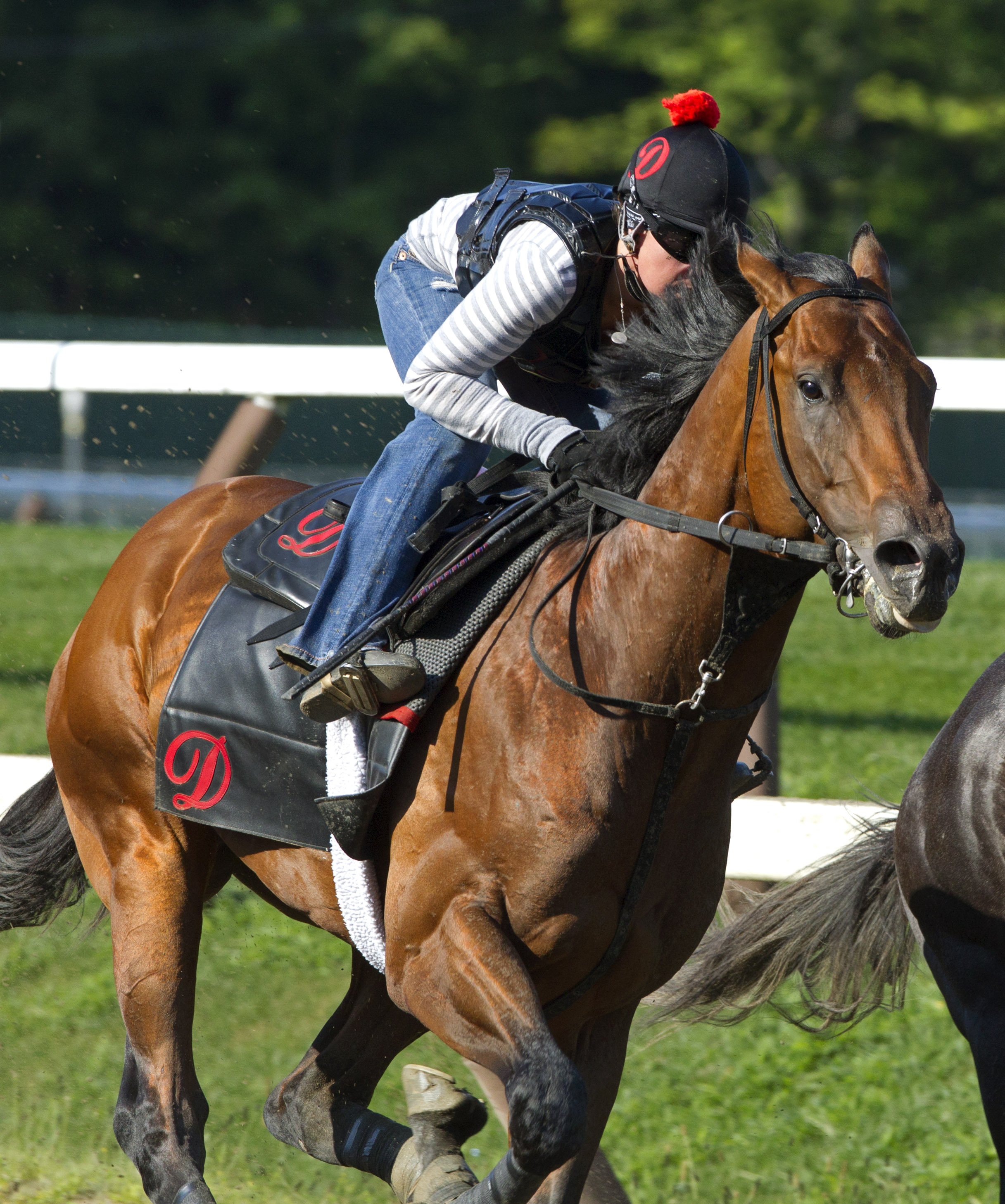 The Big Beast works Aug 9 Saratoga