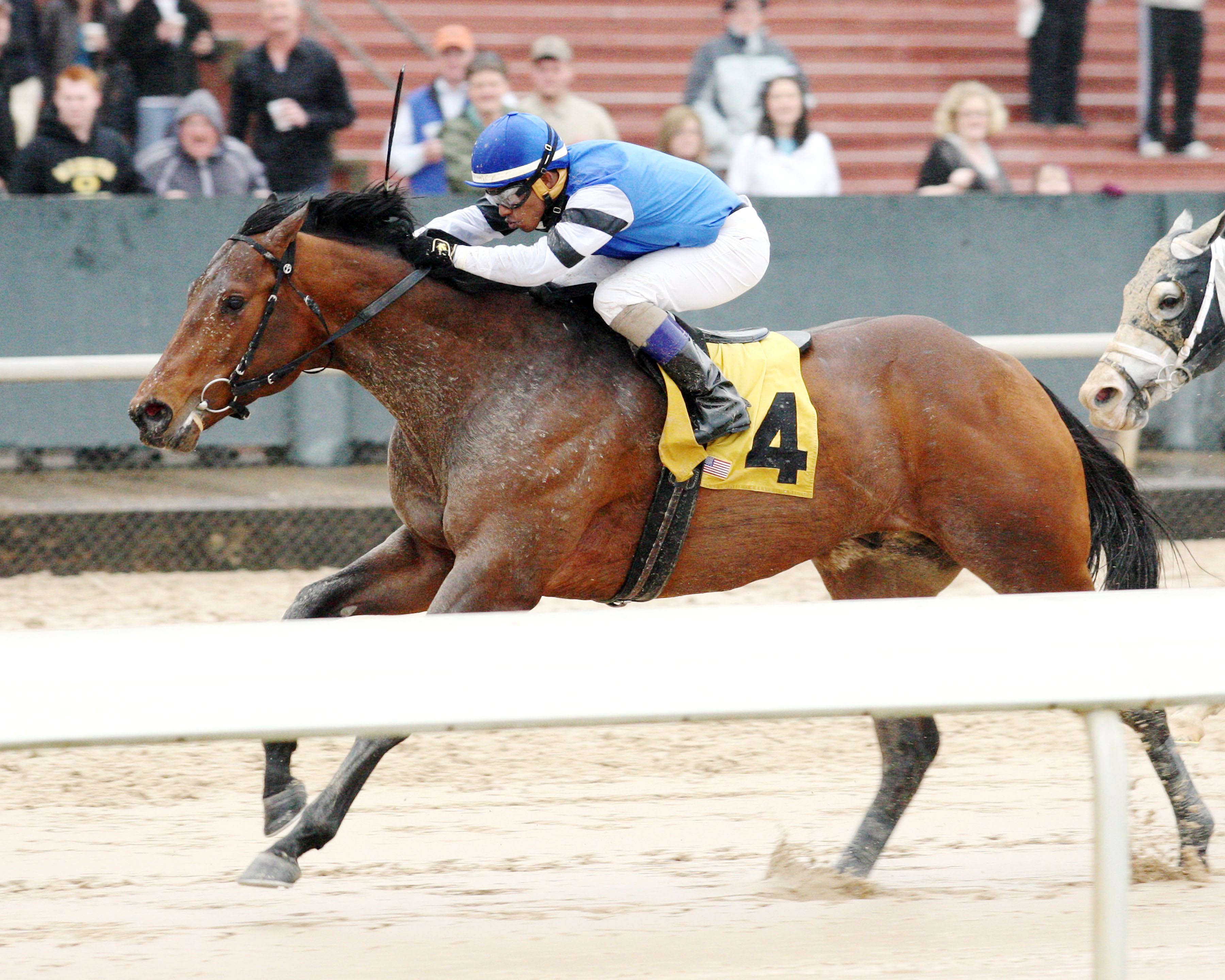 The Big Beast wins an allowance