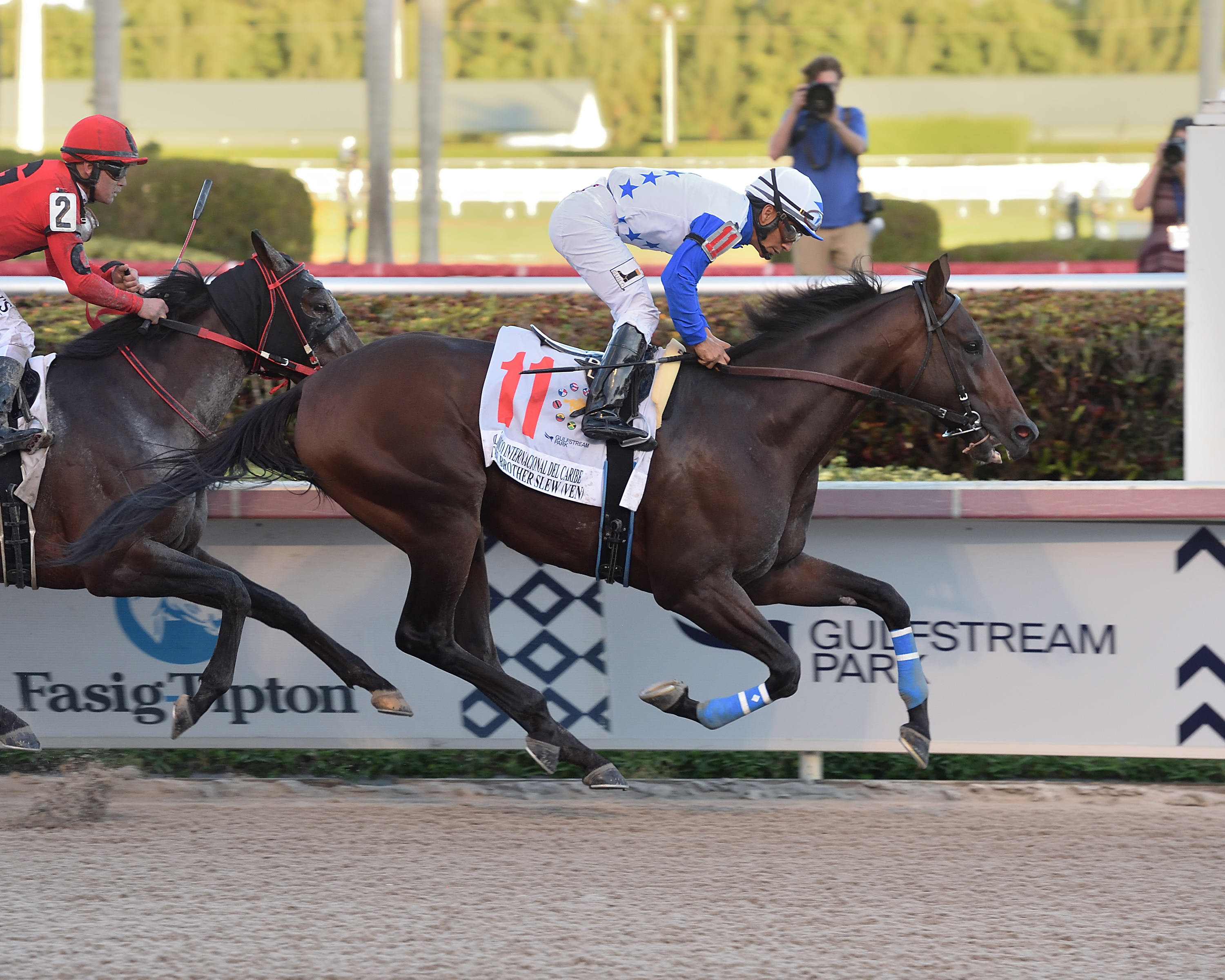 The Brother Slew wins the 2019 Clasico del Caribe