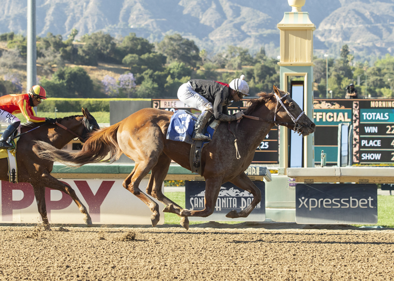 The Chosen Vron wins Affirmed Stakes 6-13-2021