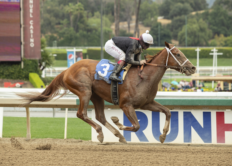 The Chosen Vron wins Lazaro Barrera Stakes 5-15-2021
