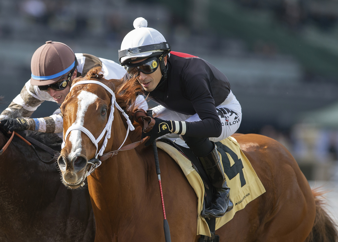 The Chosen Vron wins the Cal Cup Sprint at SA Jan 7 2023