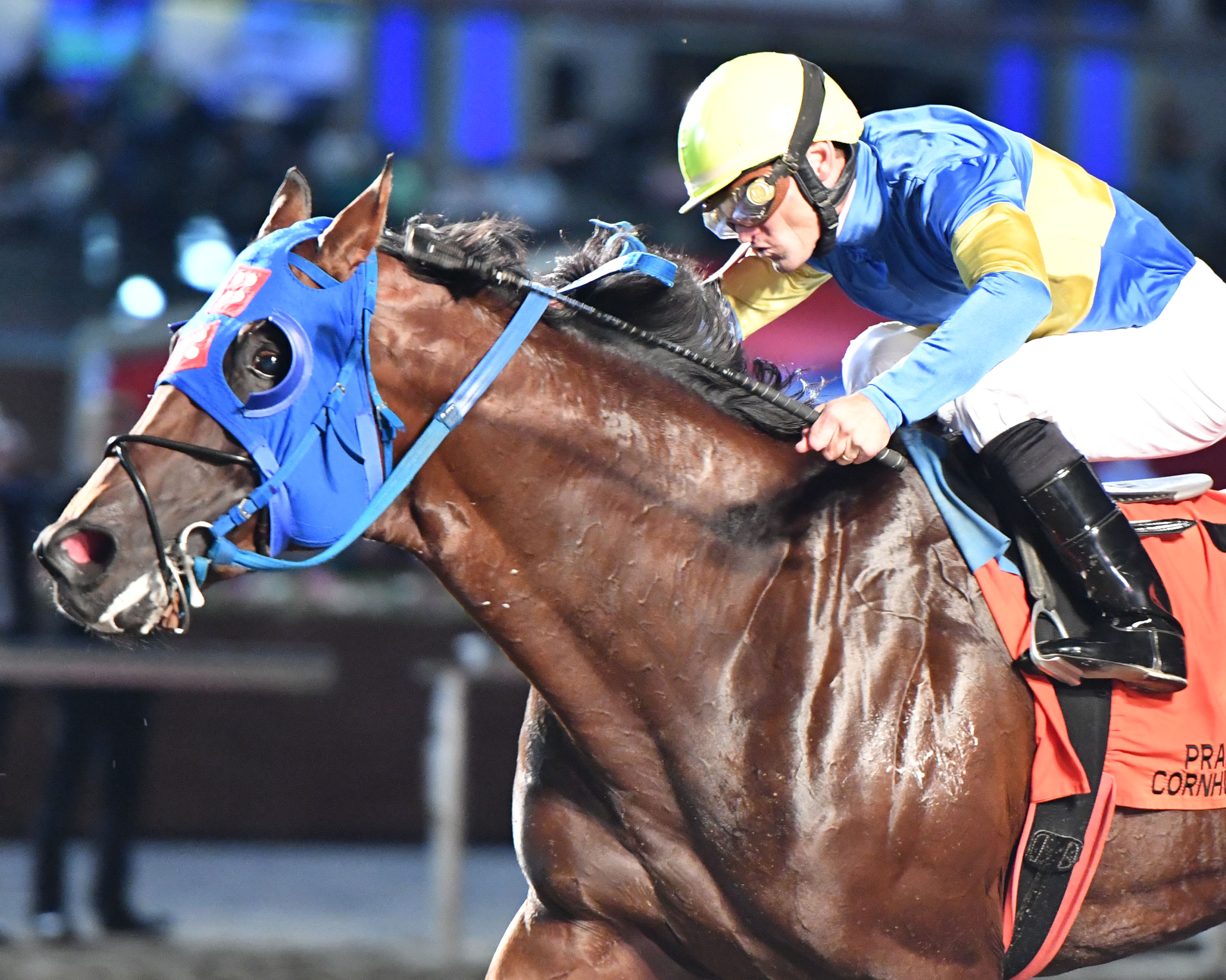 Remembering Rita wins the 2018 Cornhusker