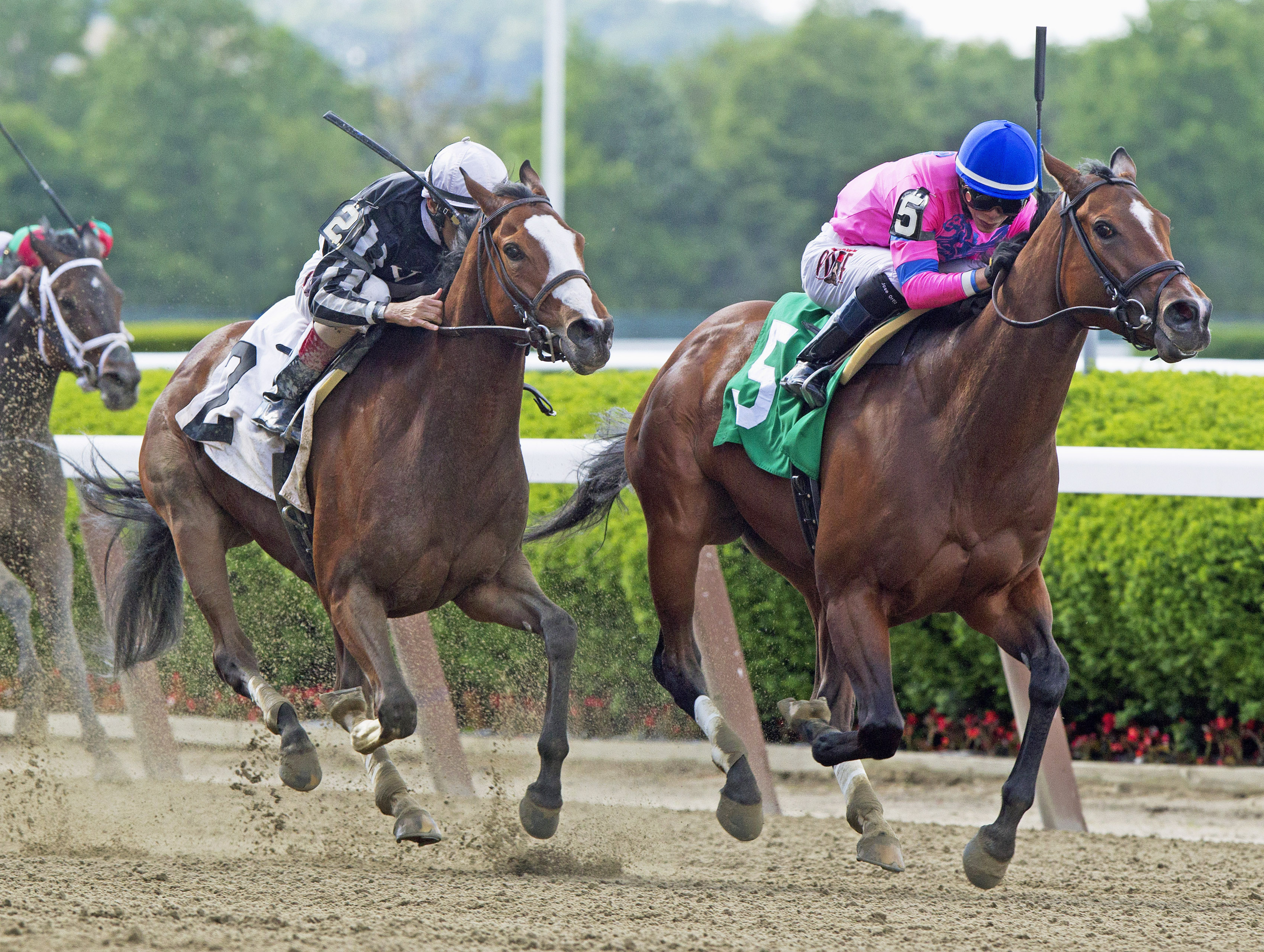 La Verdad wins 2014 Critical Eye