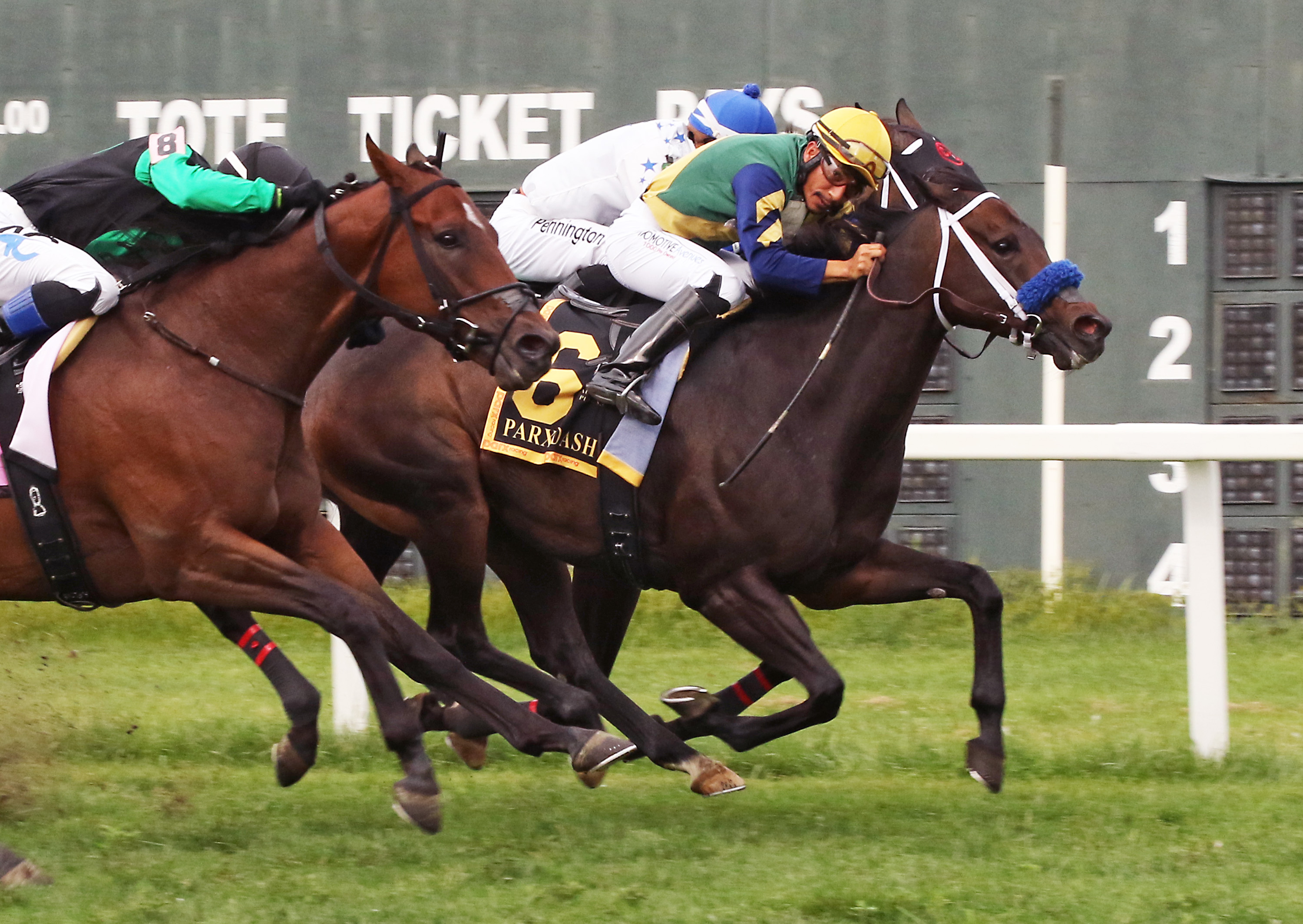 The Critical Way gana el Parx Dash Stakes