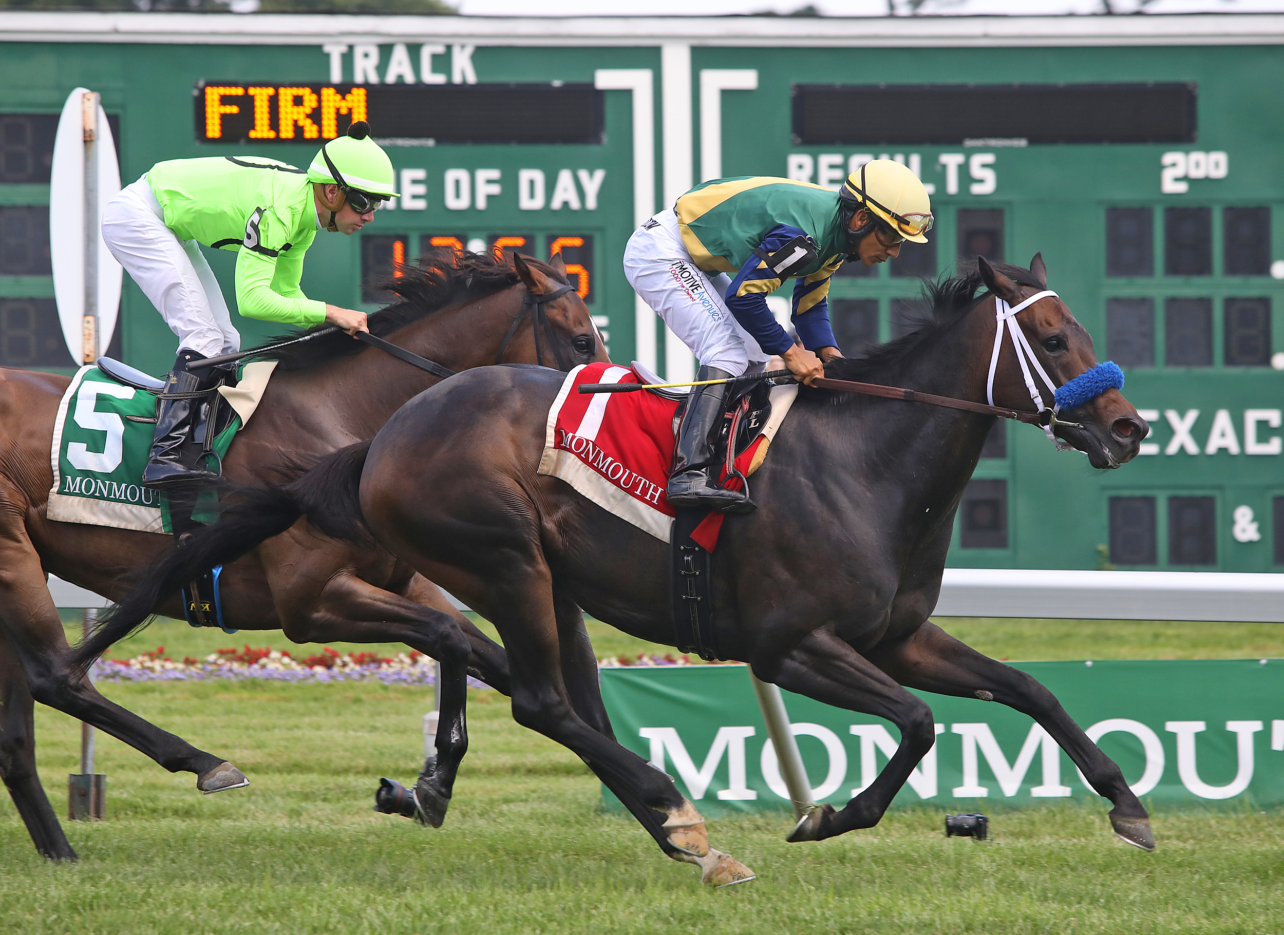 The Critical Way/Wolf Hill Stakes