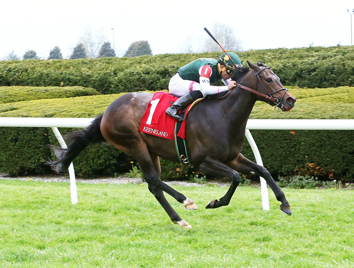 The Critical Way wins an April 26 allowance race
