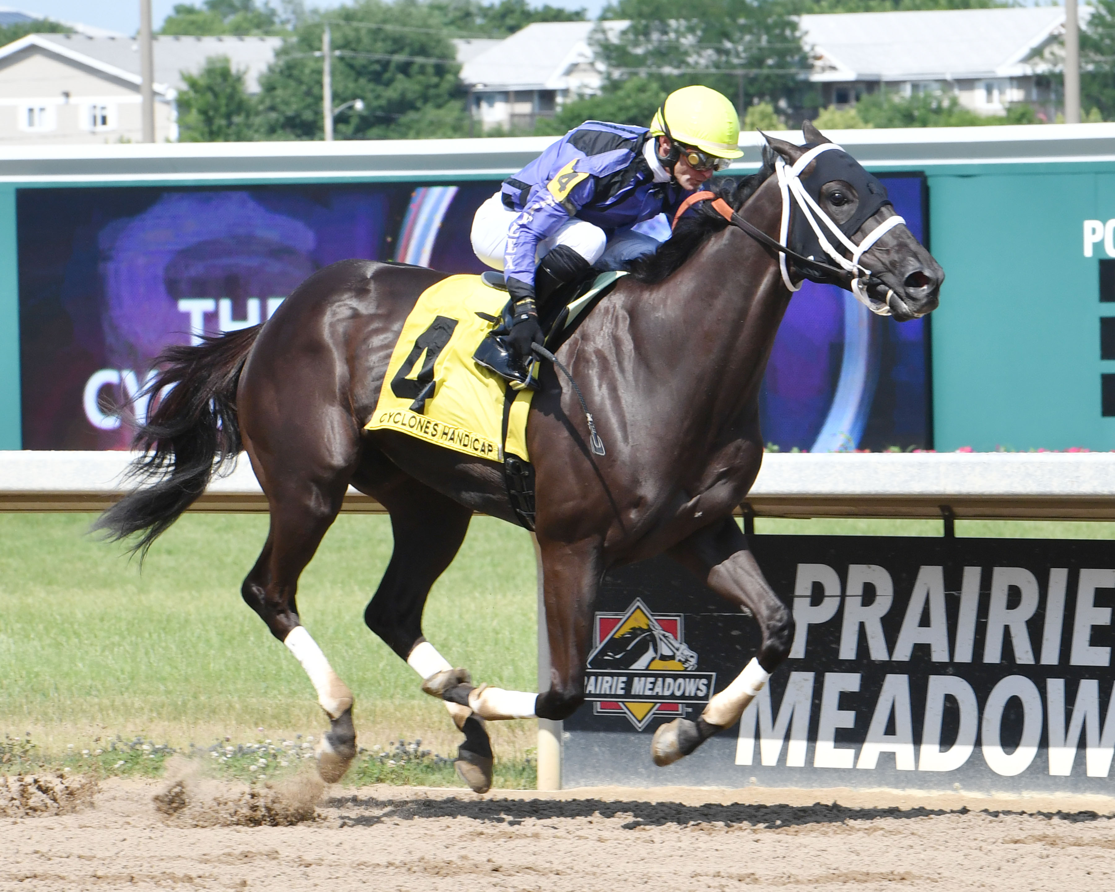 No Holds Barred wins 2018 Cyclones