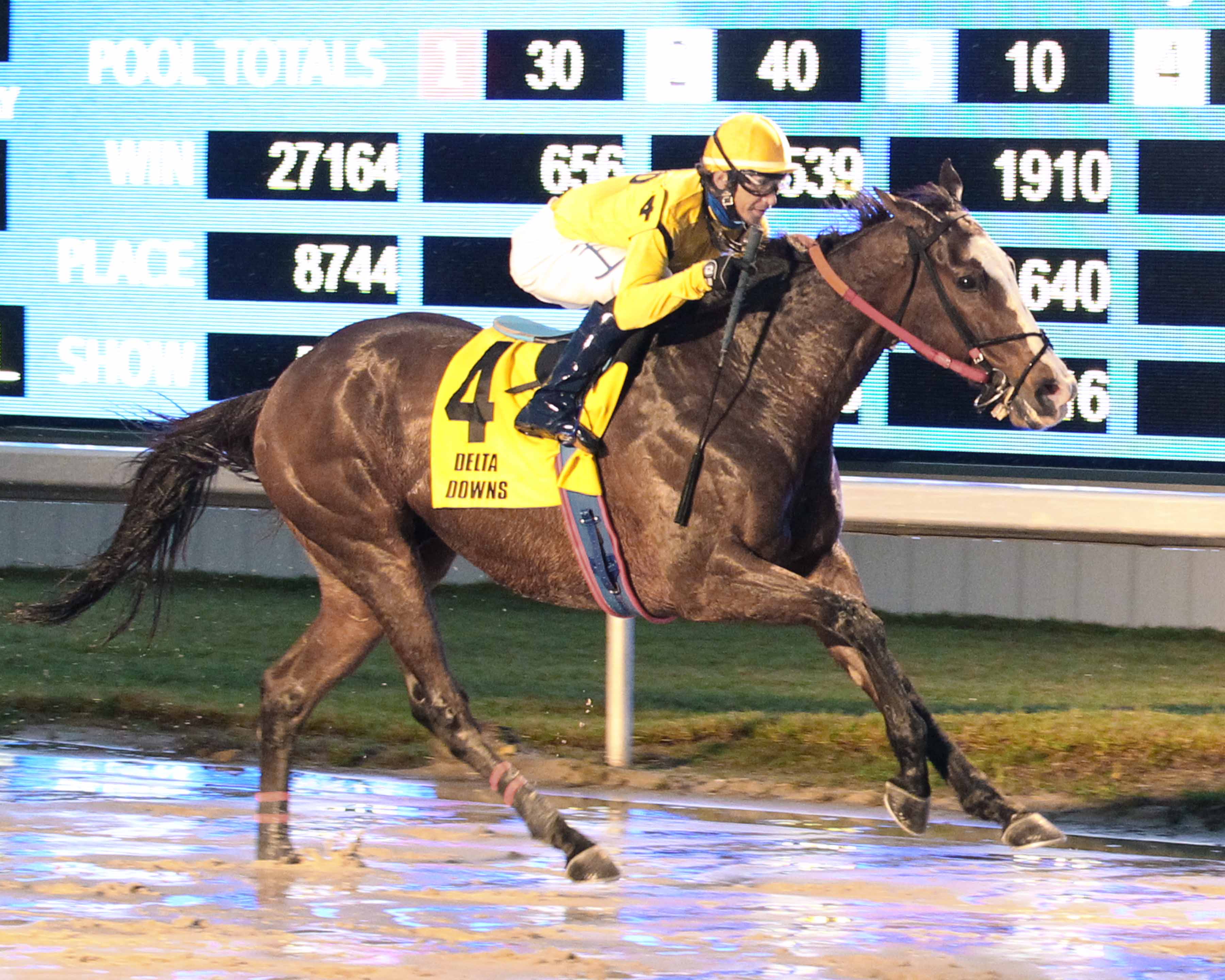 Hunka Burning Love wins Delta Mile 11-28-2020